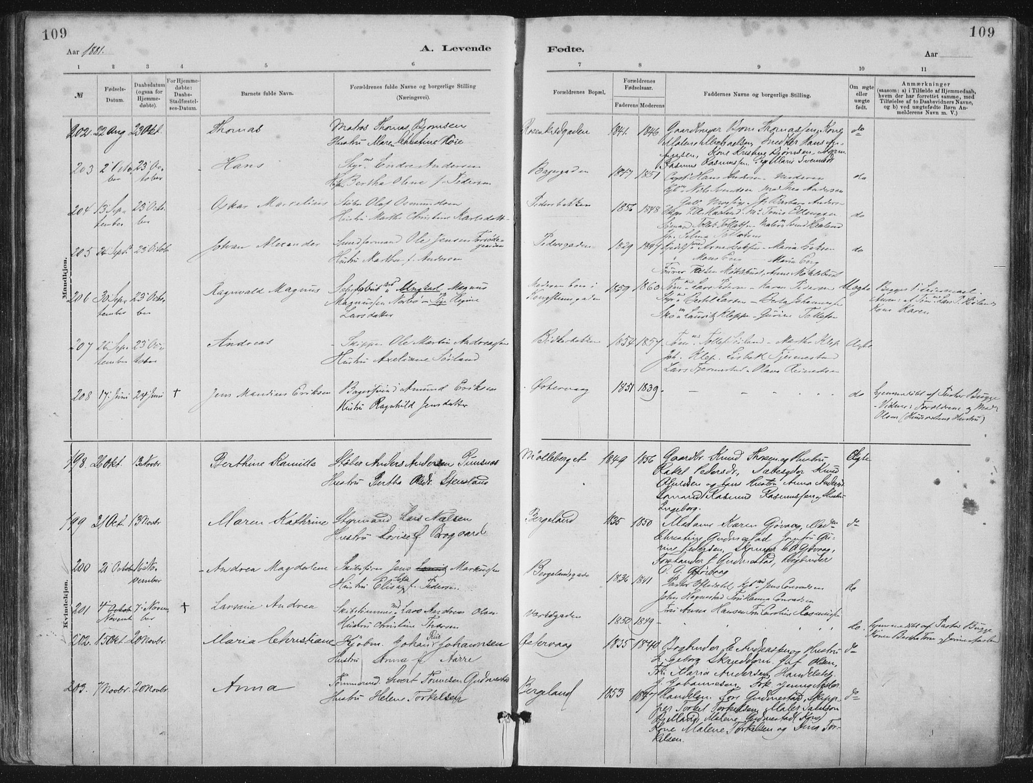 St. Petri sokneprestkontor, AV/SAST-A-101813/001/30/30BA/L0015: Parish register (official) no. A 15, 1879-1888, p. 109