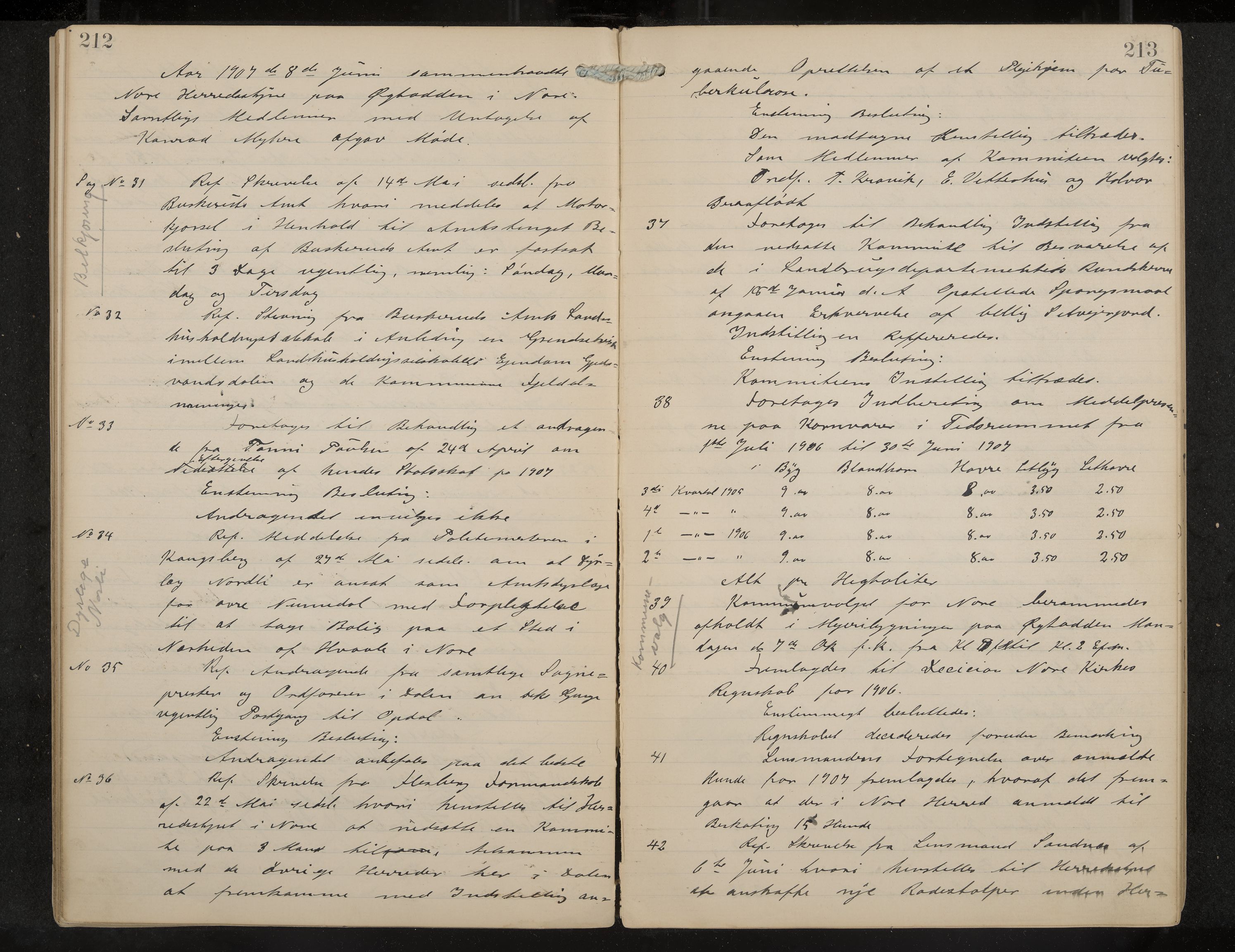 Nore formannskap og sentraladministrasjon, IKAK/0633021-2/A/Aa/L0001: Møtebok, 1901-1911, p. 212-213