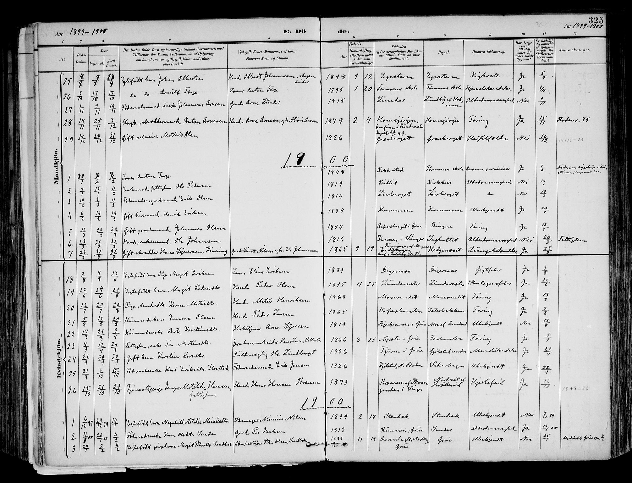 Brandval prestekontor, AV/SAH-PREST-034/H/Ha/Haa/L0003: Parish register (official) no. 3, 1894-1909, p. 325