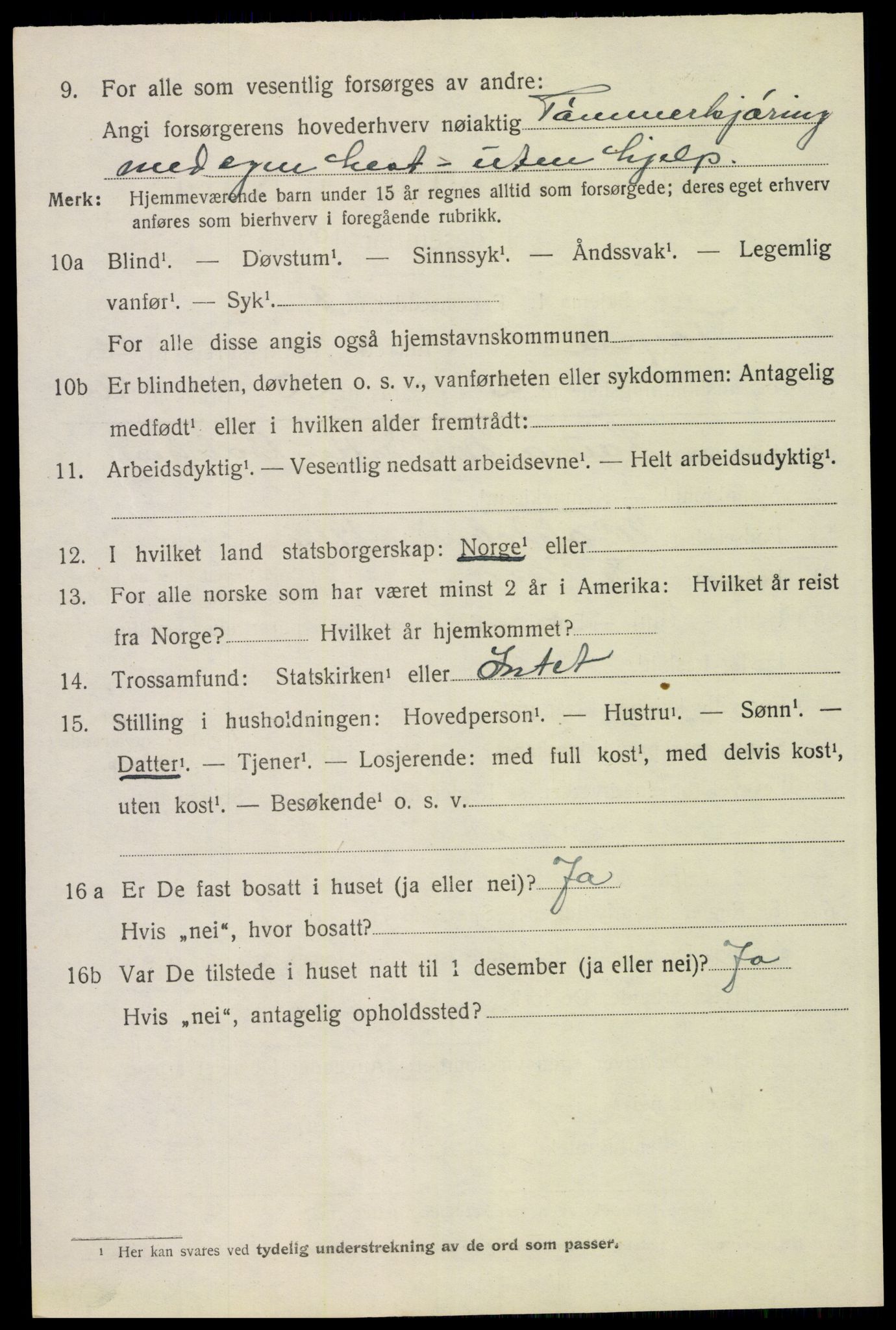 SAH, 1920 census for Trysil, 1920, p. 16132