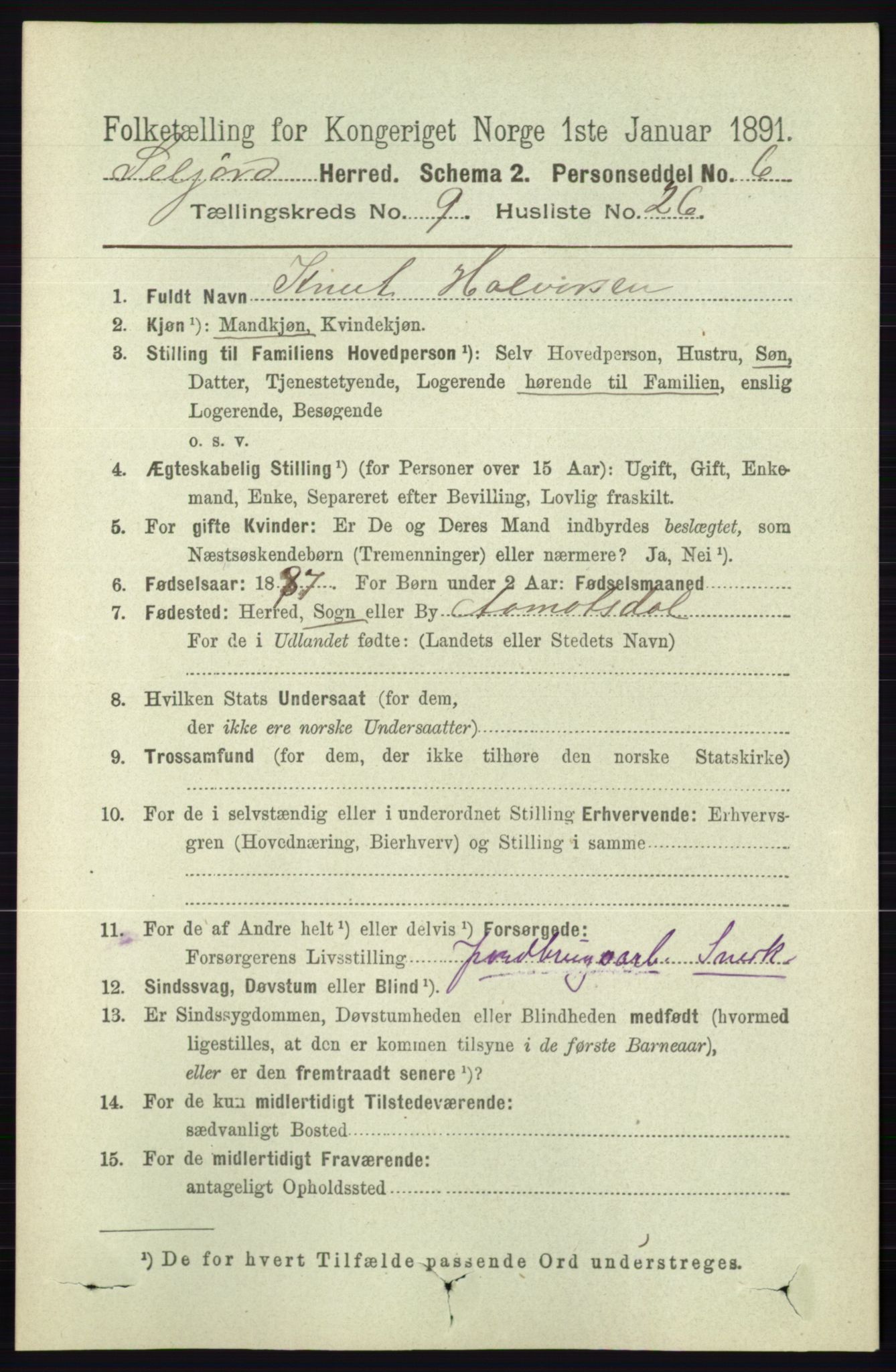 RA, 1891 census for 0828 Seljord, 1891, p. 3317