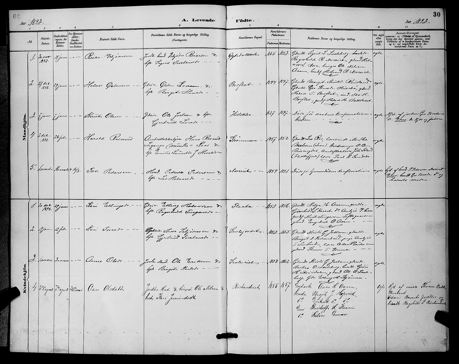 Nore kirkebøker, AV/SAKO-A-238/G/Ga/L0003: Parish register (copy) no. I 3, 1886-1903, p. 30