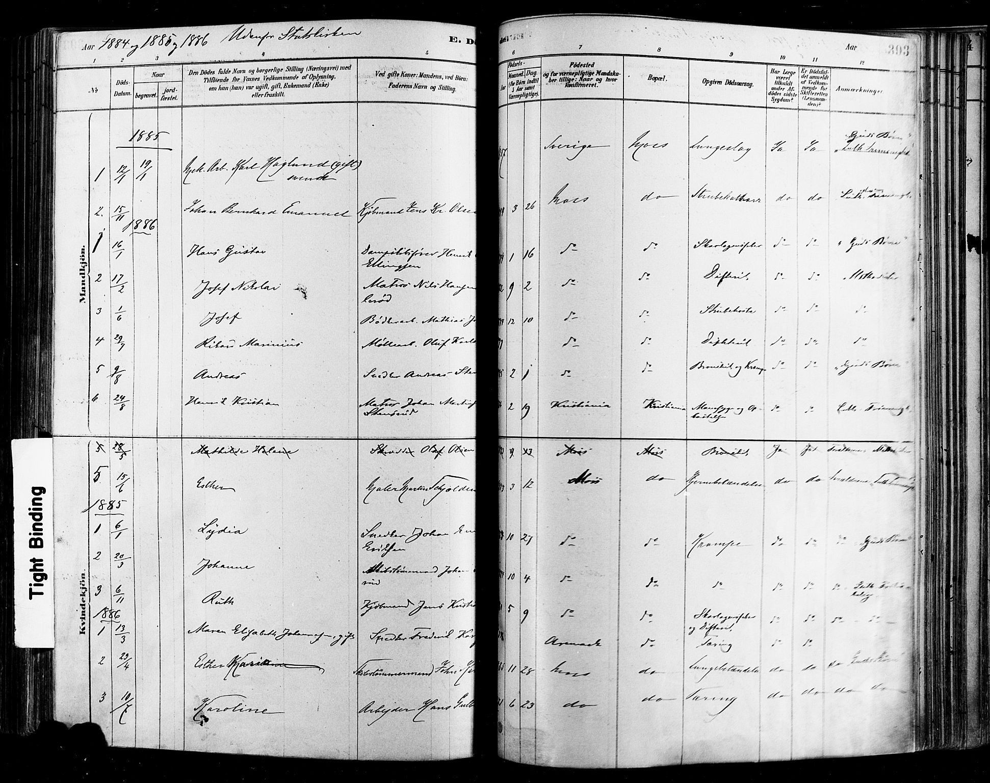 Moss prestekontor Kirkebøker, SAO/A-2003/F/Fb/L0001: Parish register (official) no. II 1, 1878-1886, p. 393