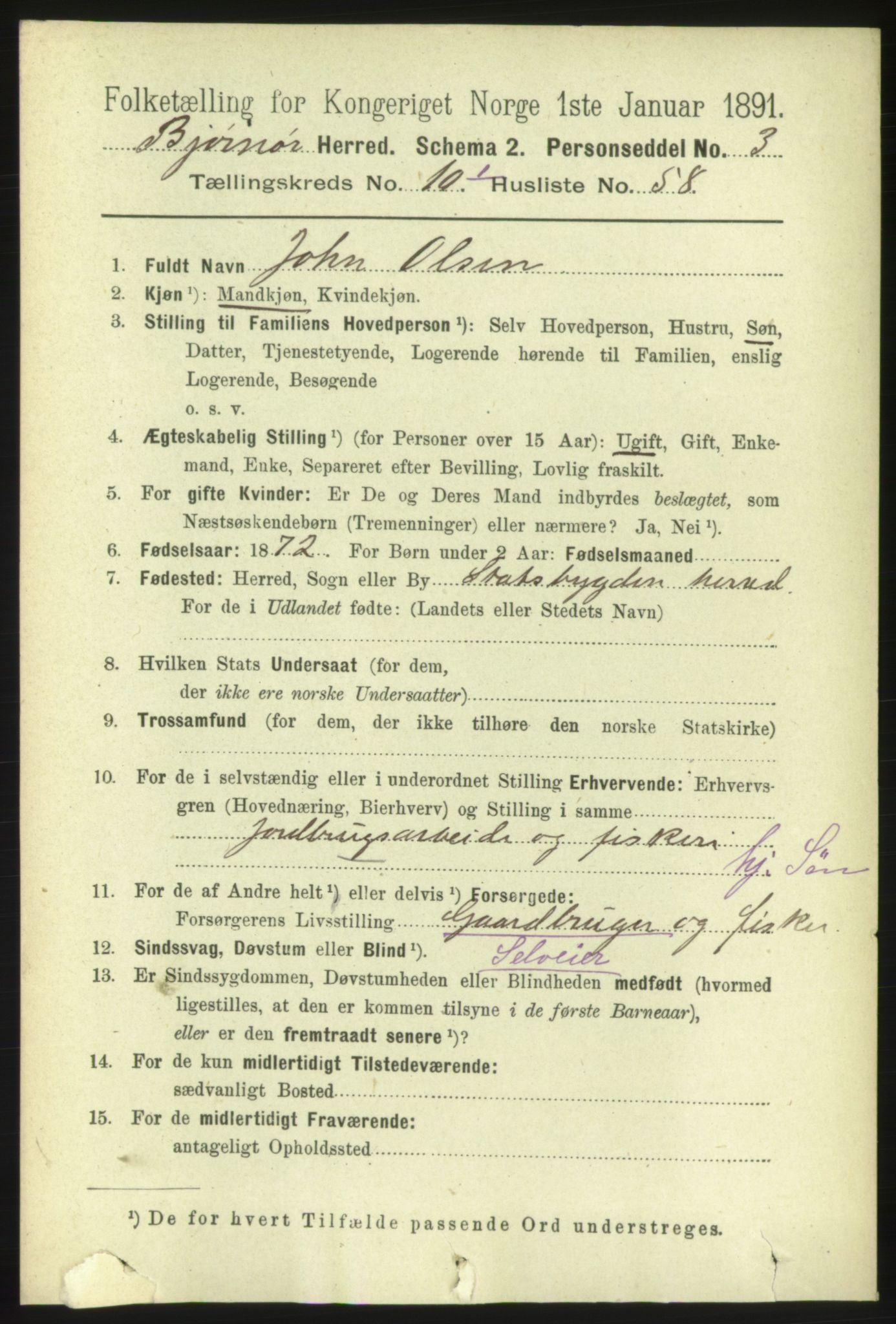 RA, 1891 census for 1632 Bjørnør, 1891, p. 4519