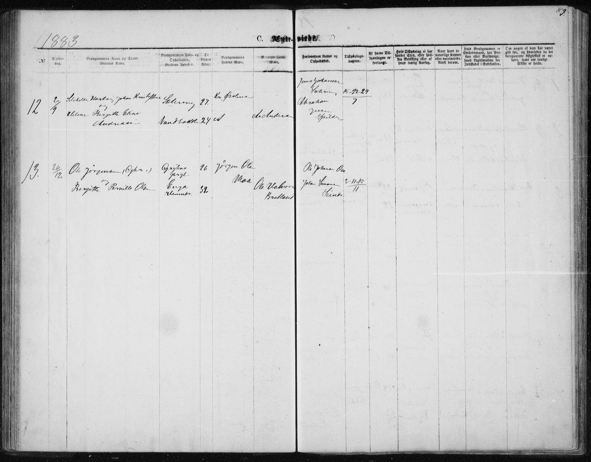 Ministerialprotokoller, klokkerbøker og fødselsregistre - Nordland, AV/SAT-A-1459/843/L0635: Parish register (copy) no. 843C04, 1872-1887, p. 89