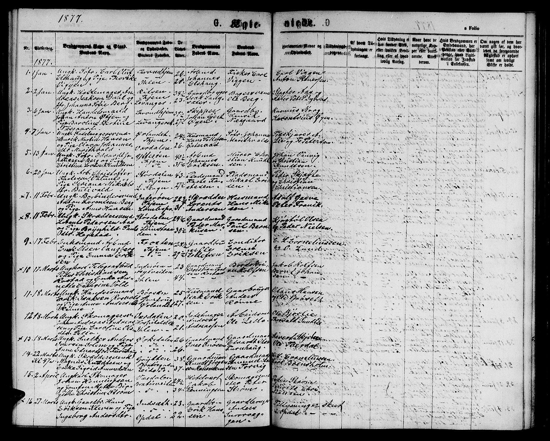 Ministerialprotokoller, klokkerbøker og fødselsregistre - Sør-Trøndelag, AV/SAT-A-1456/602/L0141: Parish register (copy) no. 602C09, 1865-1877