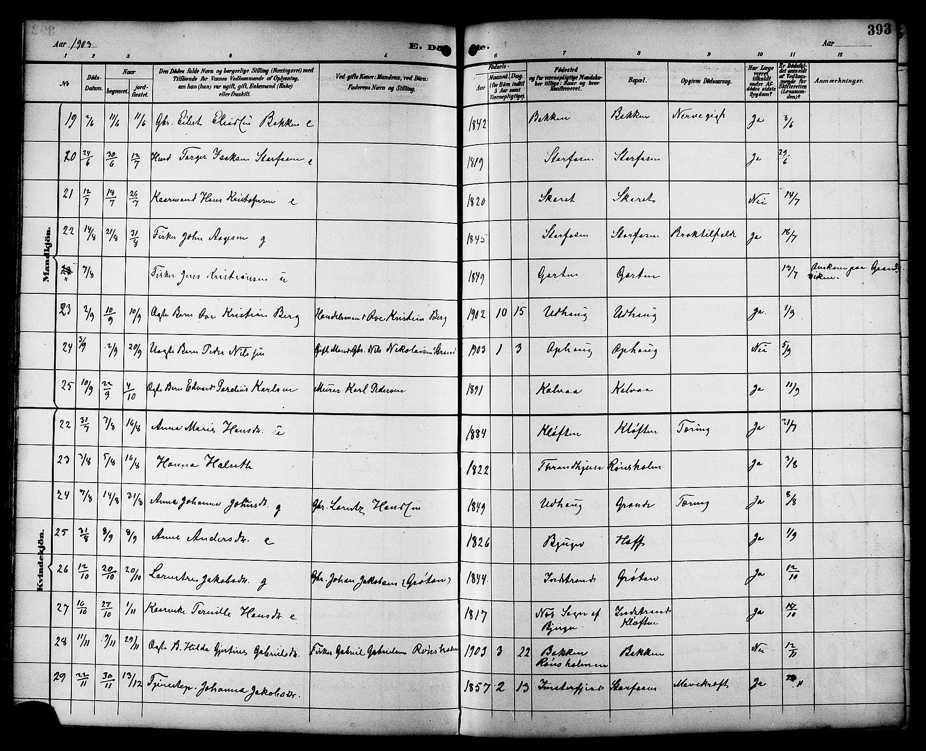 Ministerialprotokoller, klokkerbøker og fødselsregistre - Sør-Trøndelag, SAT/A-1456/659/L0746: Parish register (copy) no. 659C03, 1893-1912, p. 393