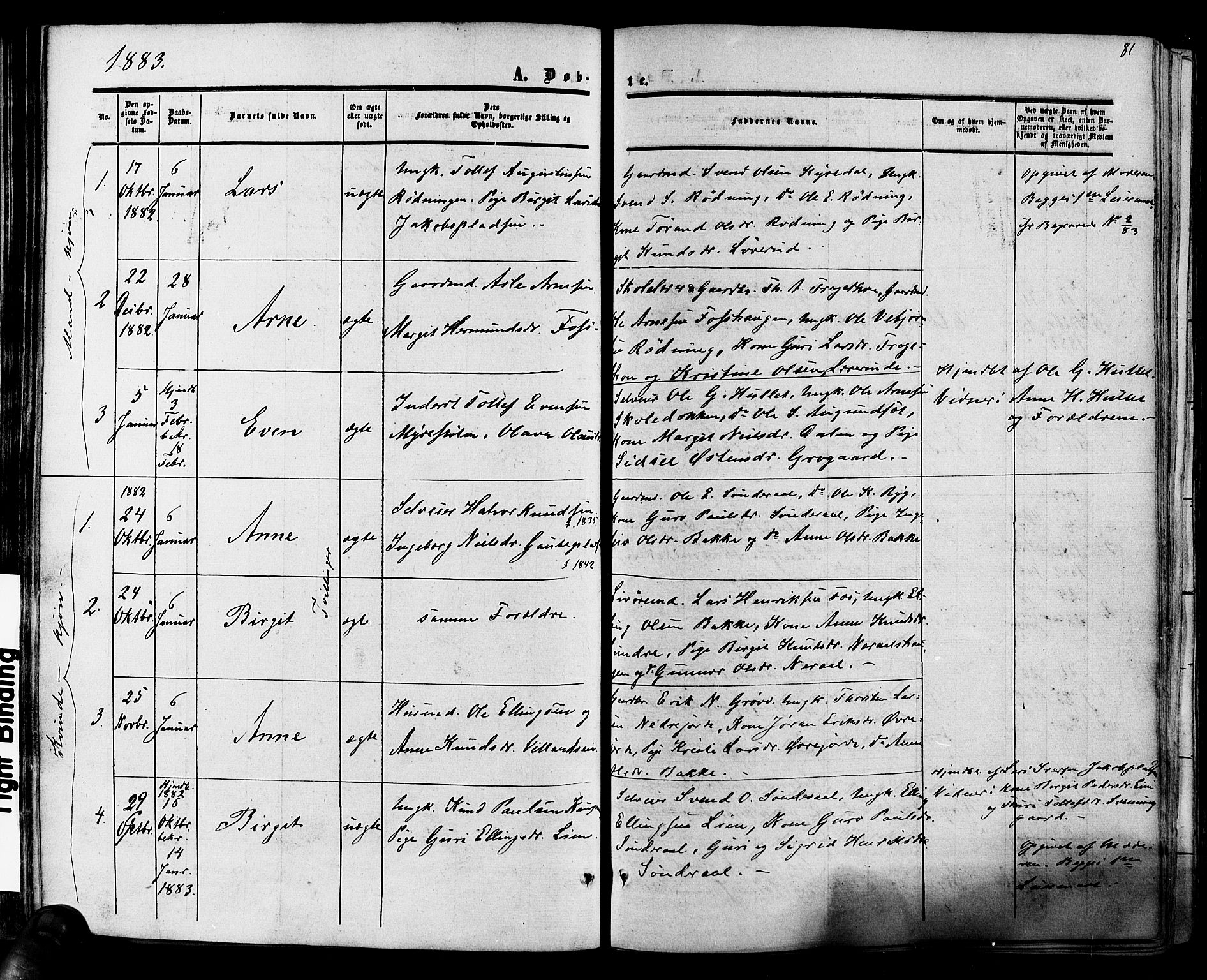 Hol kirkebøker, SAKO/A-227/F/Fa/L0002: Parish register (official) no. I 2, 1870-1886, p. 81