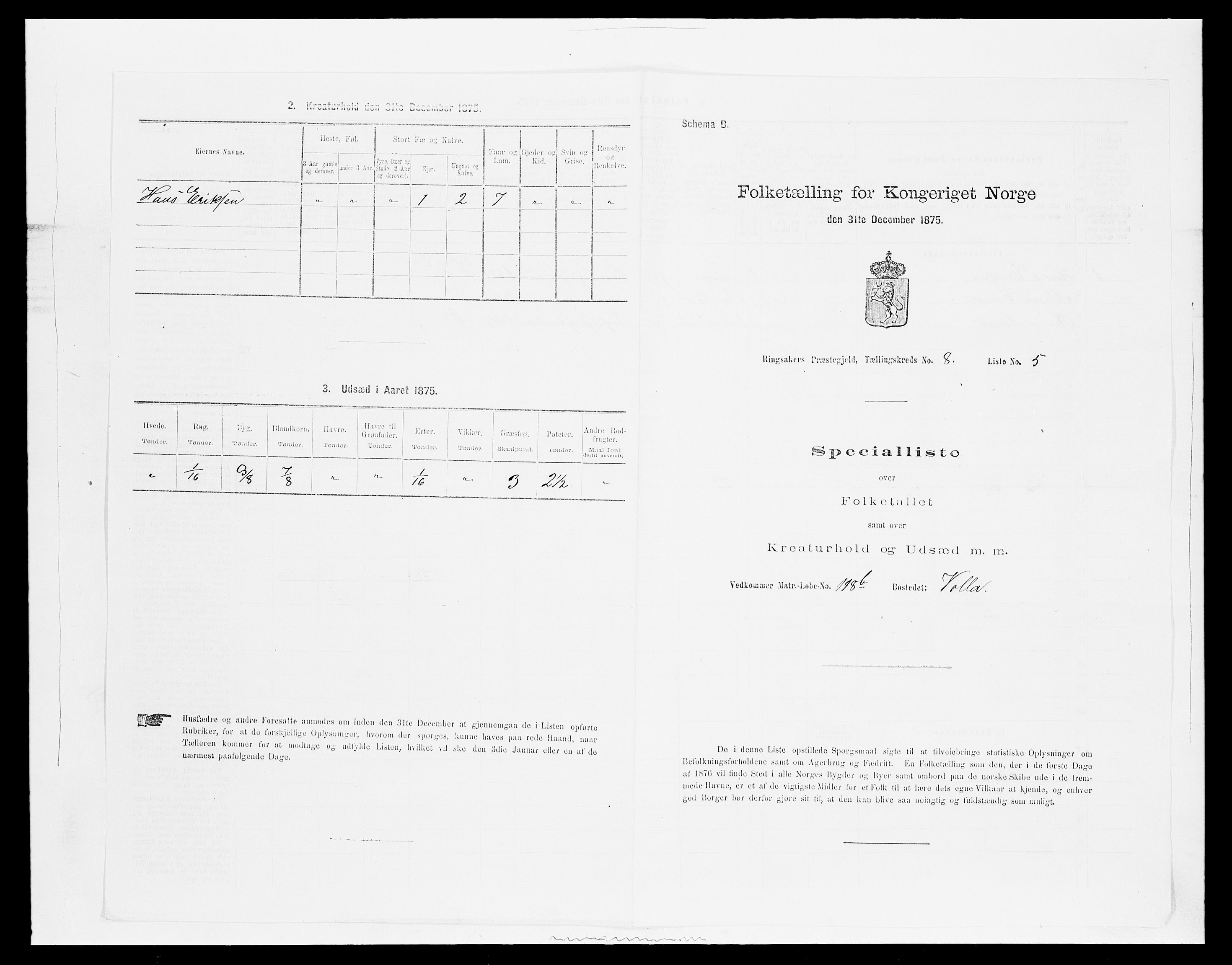 SAH, 1875 census for 0412P Ringsaker, 1875, p. 1636