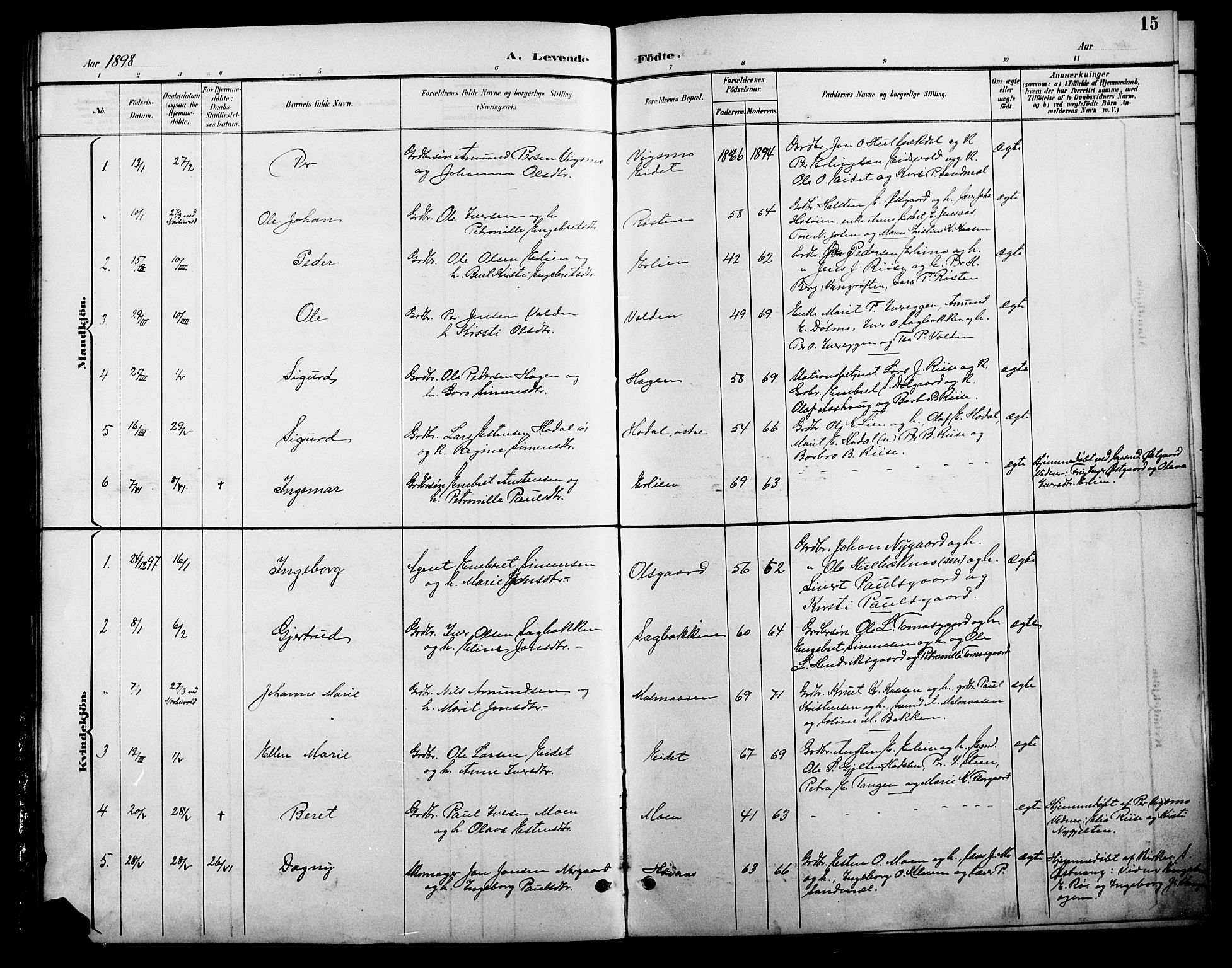 Tolga prestekontor, SAH/PREST-062/L/L0009: Parish register (copy) no. 9, 1892-1919, p. 15