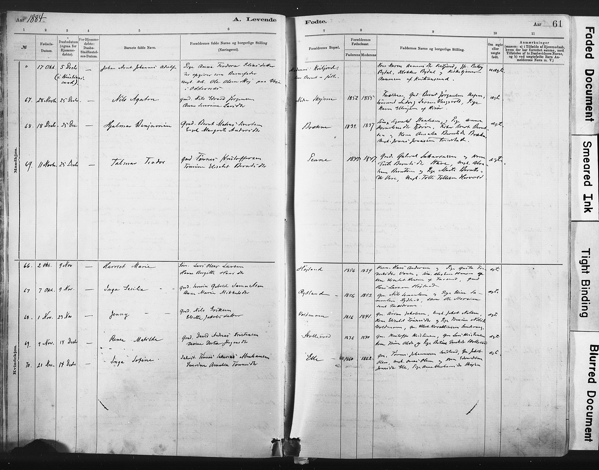 Lista sokneprestkontor, AV/SAK-1111-0027/F/Fa/L0012: Parish register (official) no. A 12, 1879-1903, p. 61