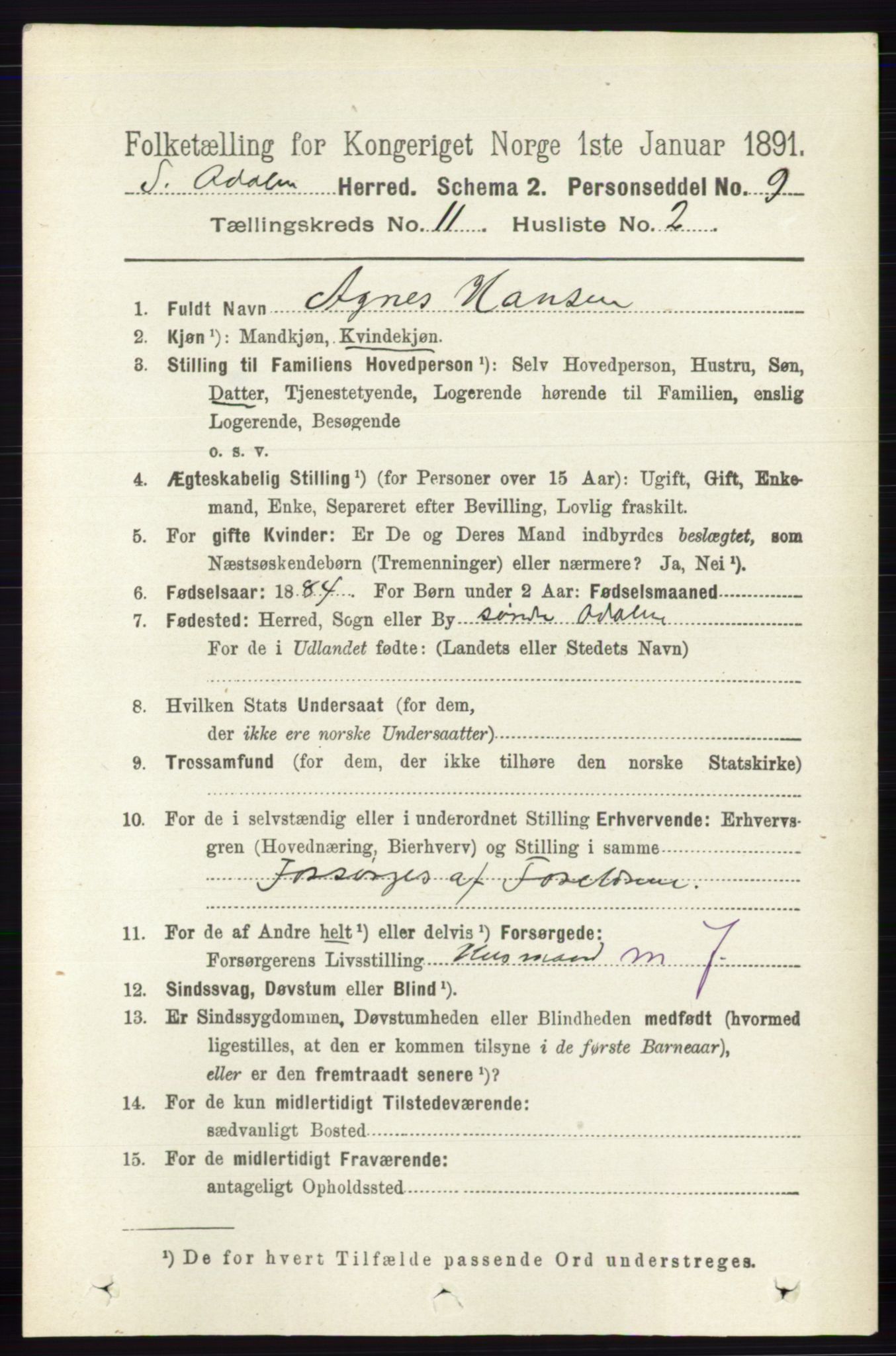 RA, 1891 census for 0419 Sør-Odal, 1891, p. 4915