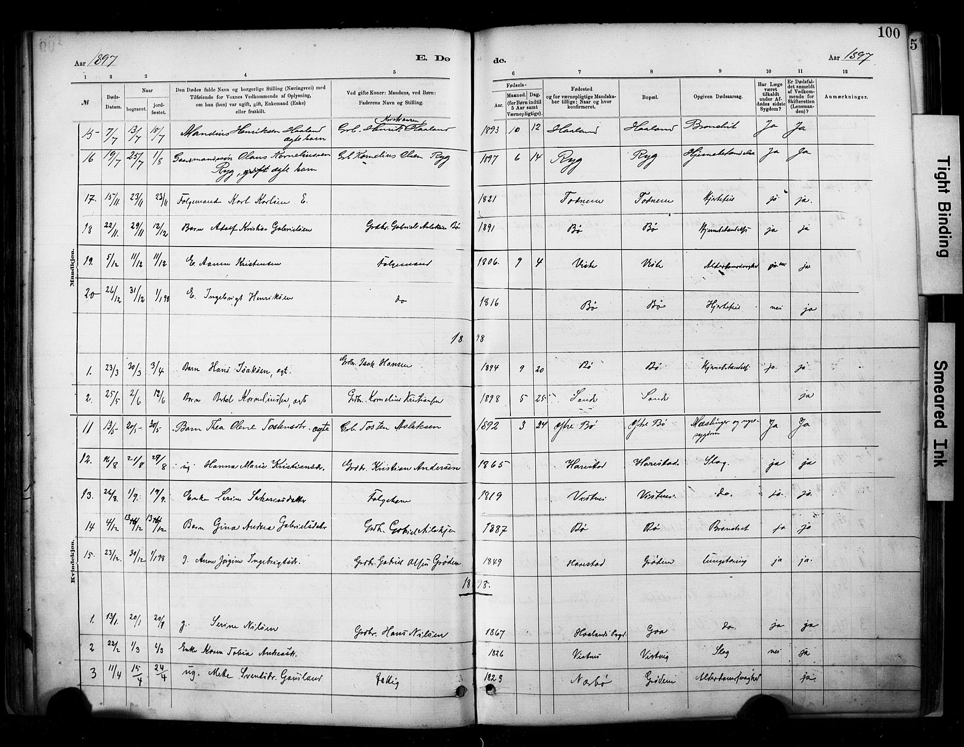 Hetland sokneprestkontor, SAST/A-101826/30/30BA/L0009: Parish register (official) no. A 9, 1882-1918, p. 100