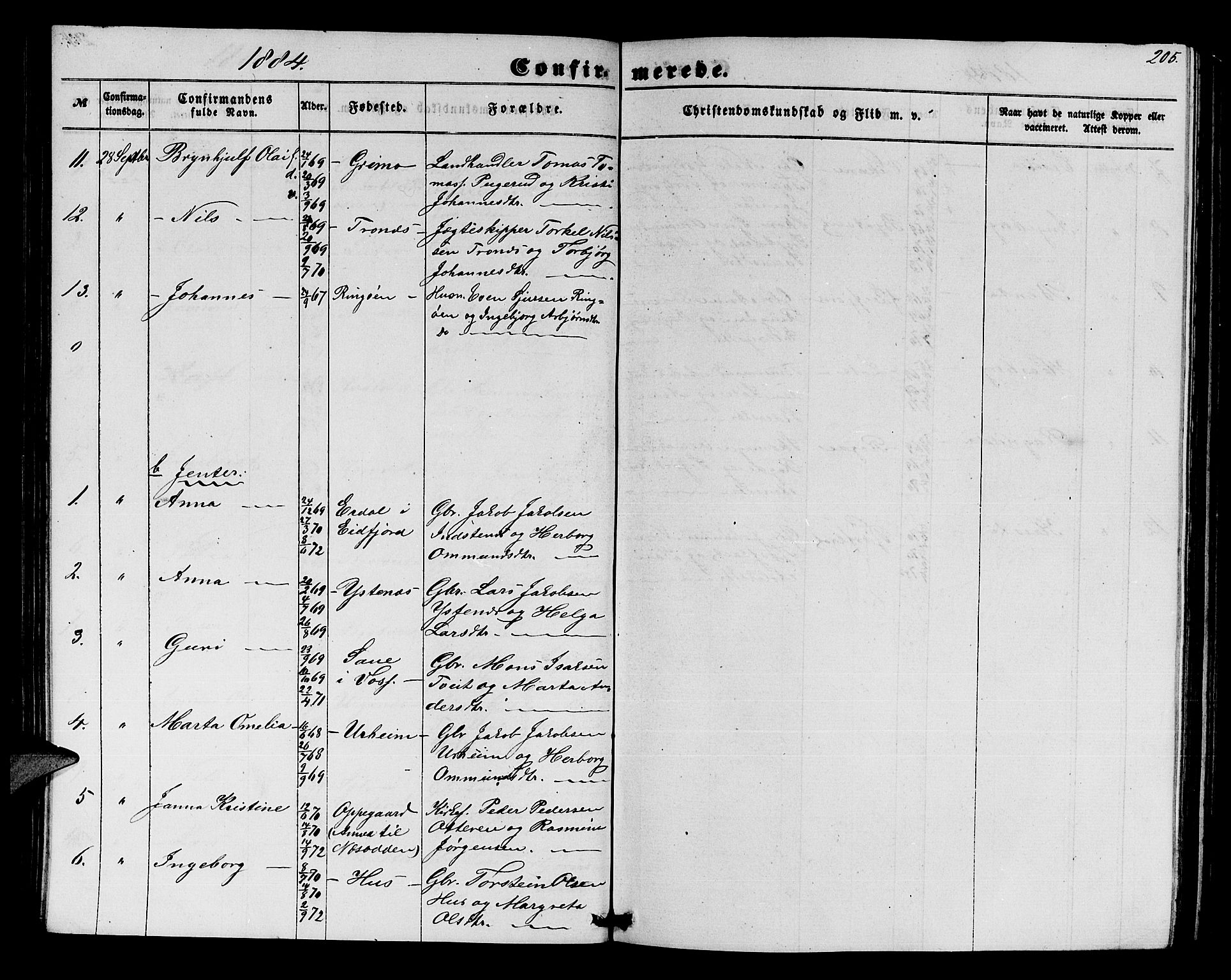 Ullensvang sokneprestembete, SAB/A-78701/H/Hab: Parish register (copy) no. E 6, 1857-1886, p. 205