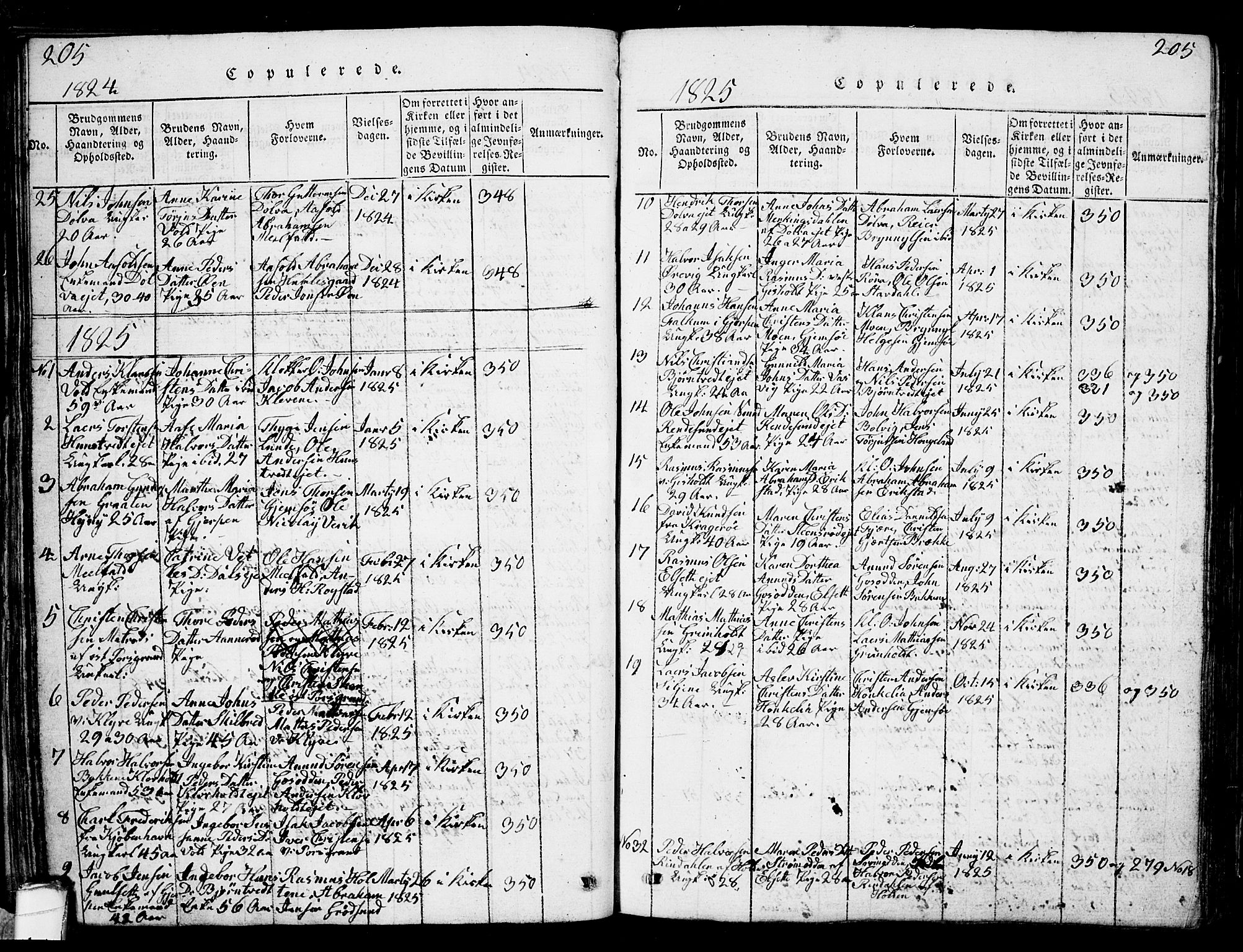 Solum kirkebøker, SAKO/A-306/G/Ga/L0001: Parish register (copy) no. I 1, 1814-1833, p. 205