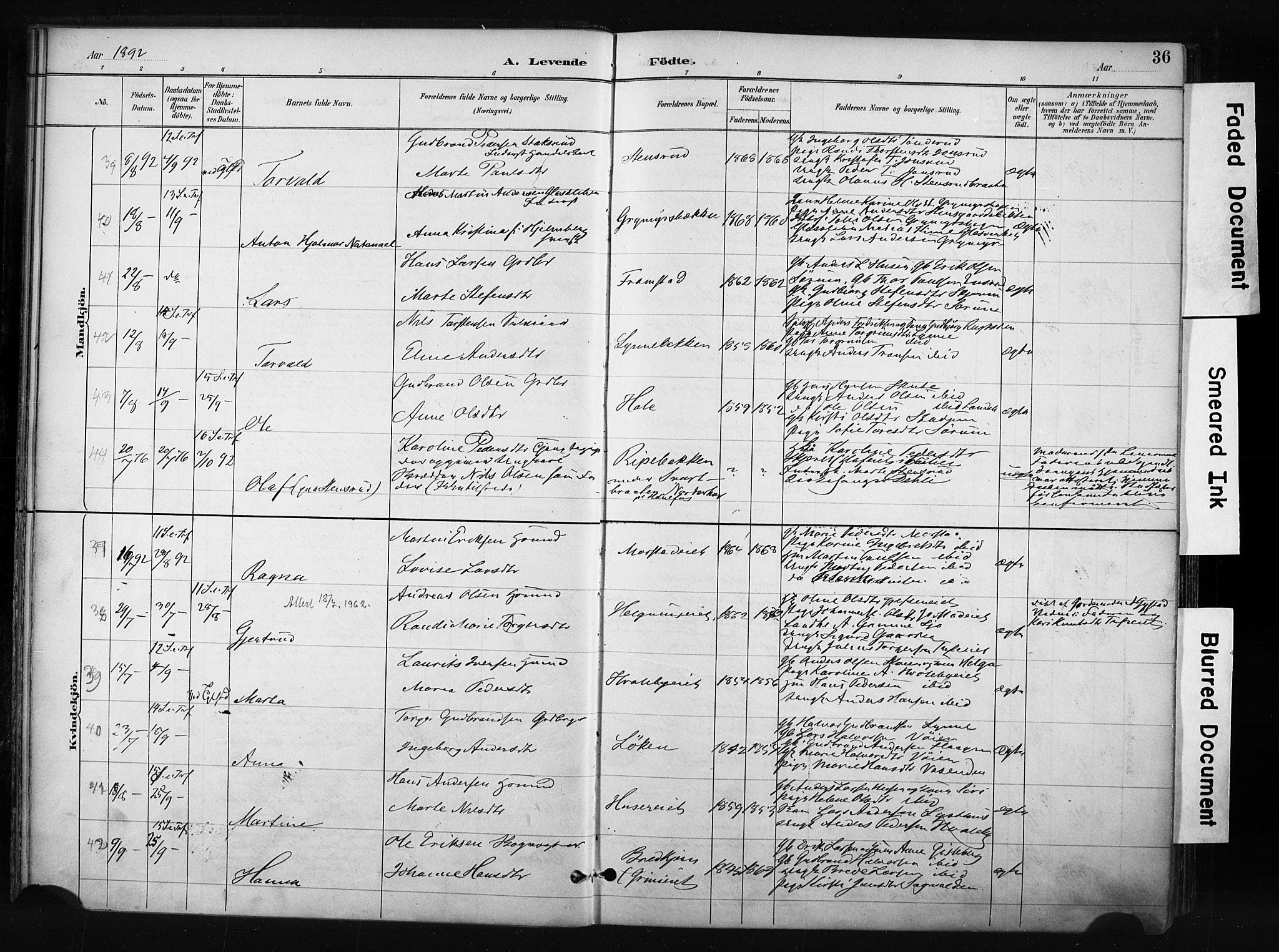 Gran prestekontor, AV/SAH-PREST-112/H/Ha/Haa/L0017: Parish register (official) no. 17, 1889-1897, p. 36