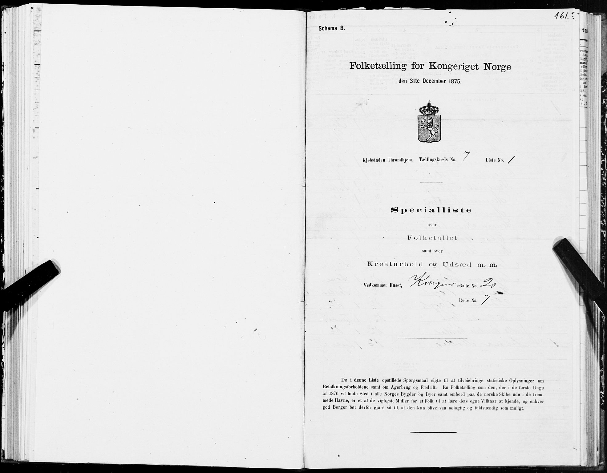 SAT, 1875 census for 1601 Trondheim, 1875, p. 4161