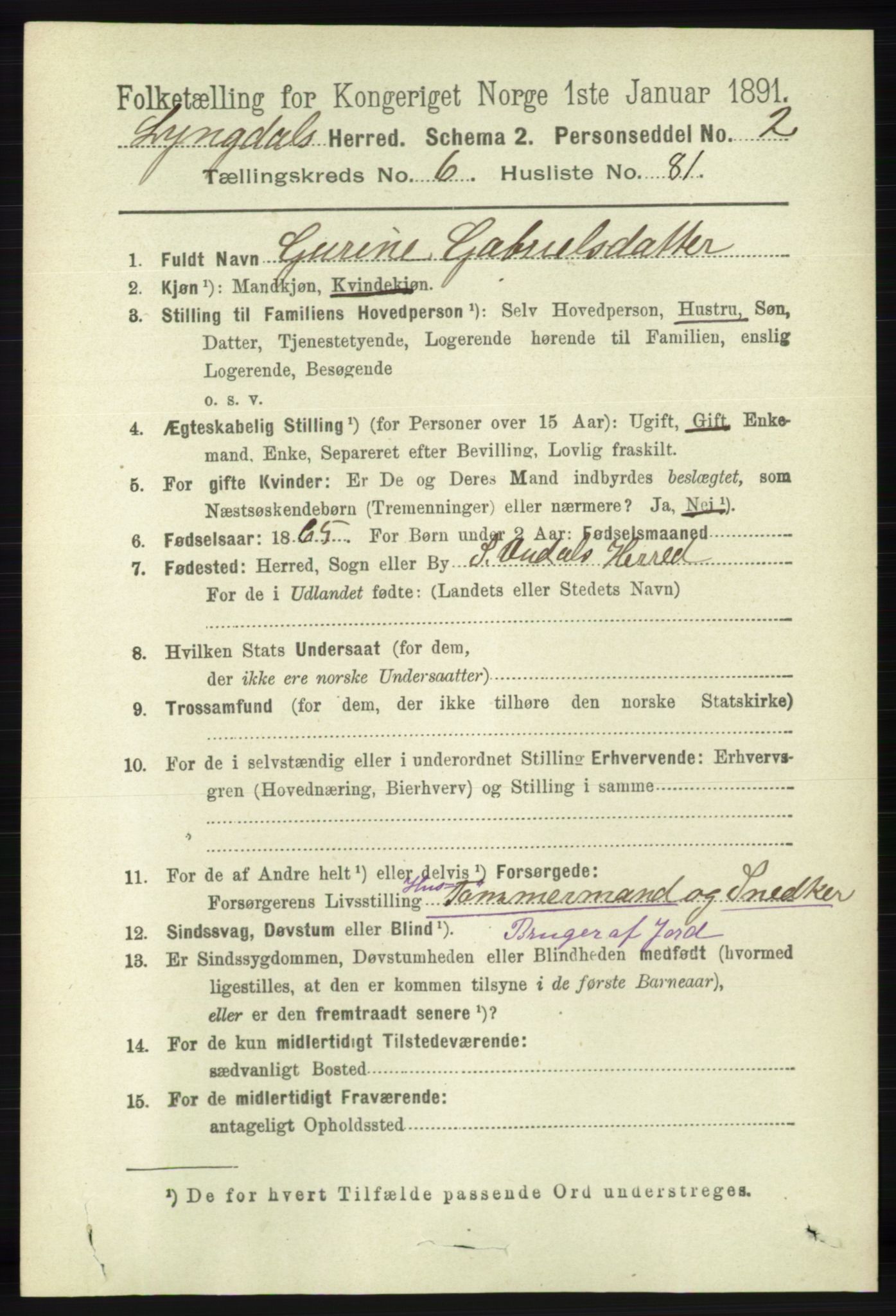 RA, 1891 census for 1032 Lyngdal, 1891, p. 2823
