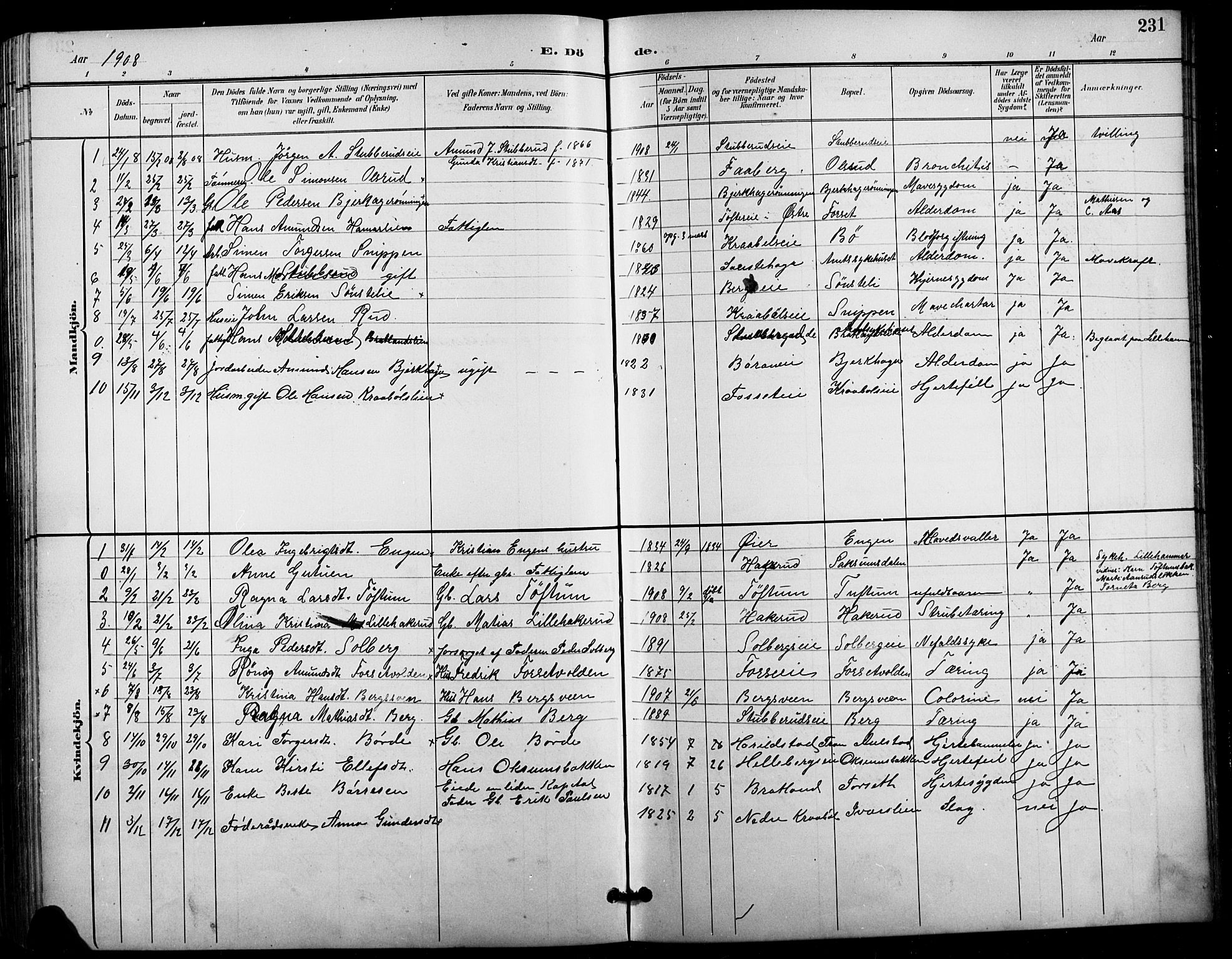 Vestre Gausdal prestekontor, SAH/PREST-094/H/Ha/Hab/L0003: Parish register (copy) no. 3, 1896-1925, p. 231