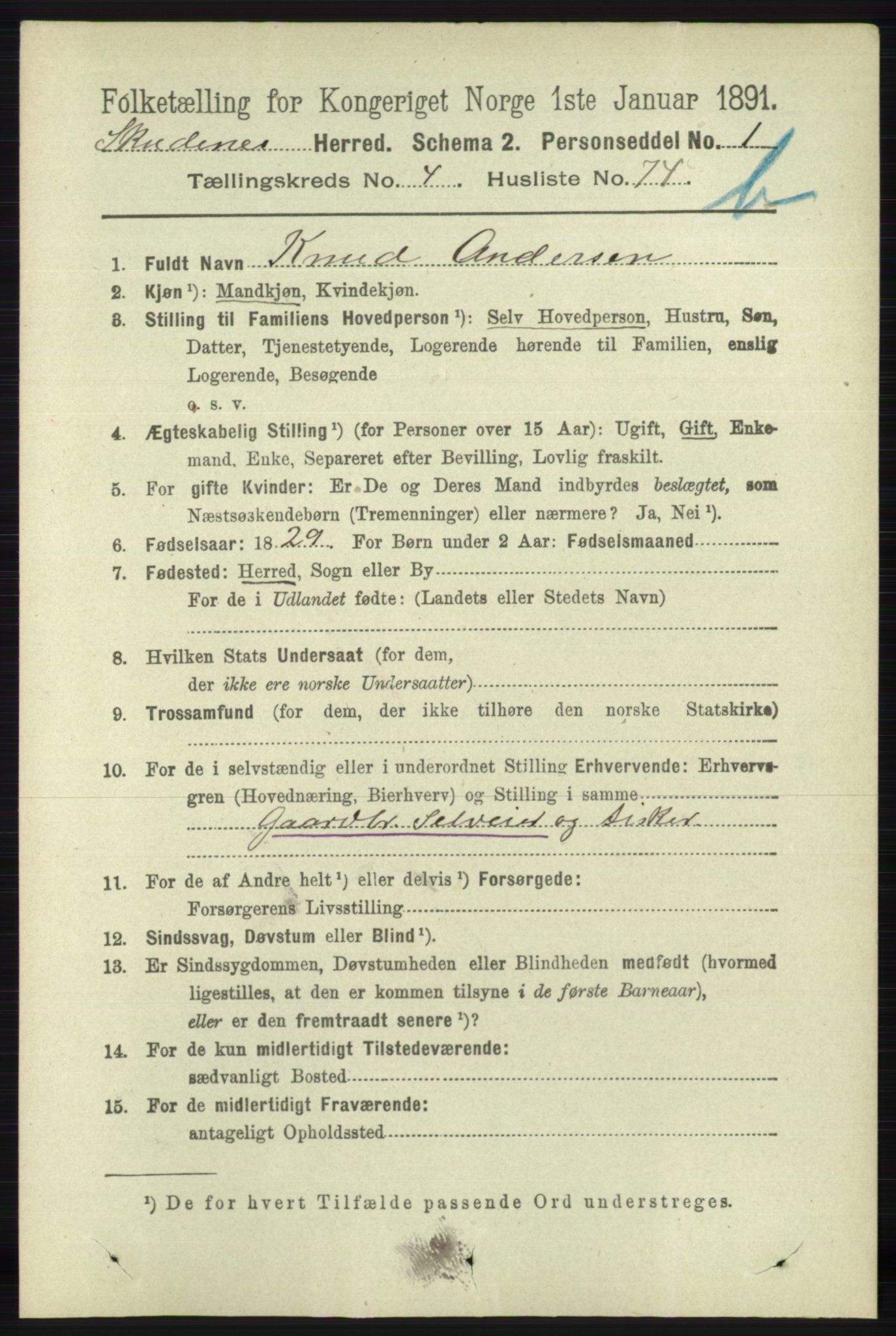 RA, 1891 census for 1150 Skudenes, 1891, p. 4942