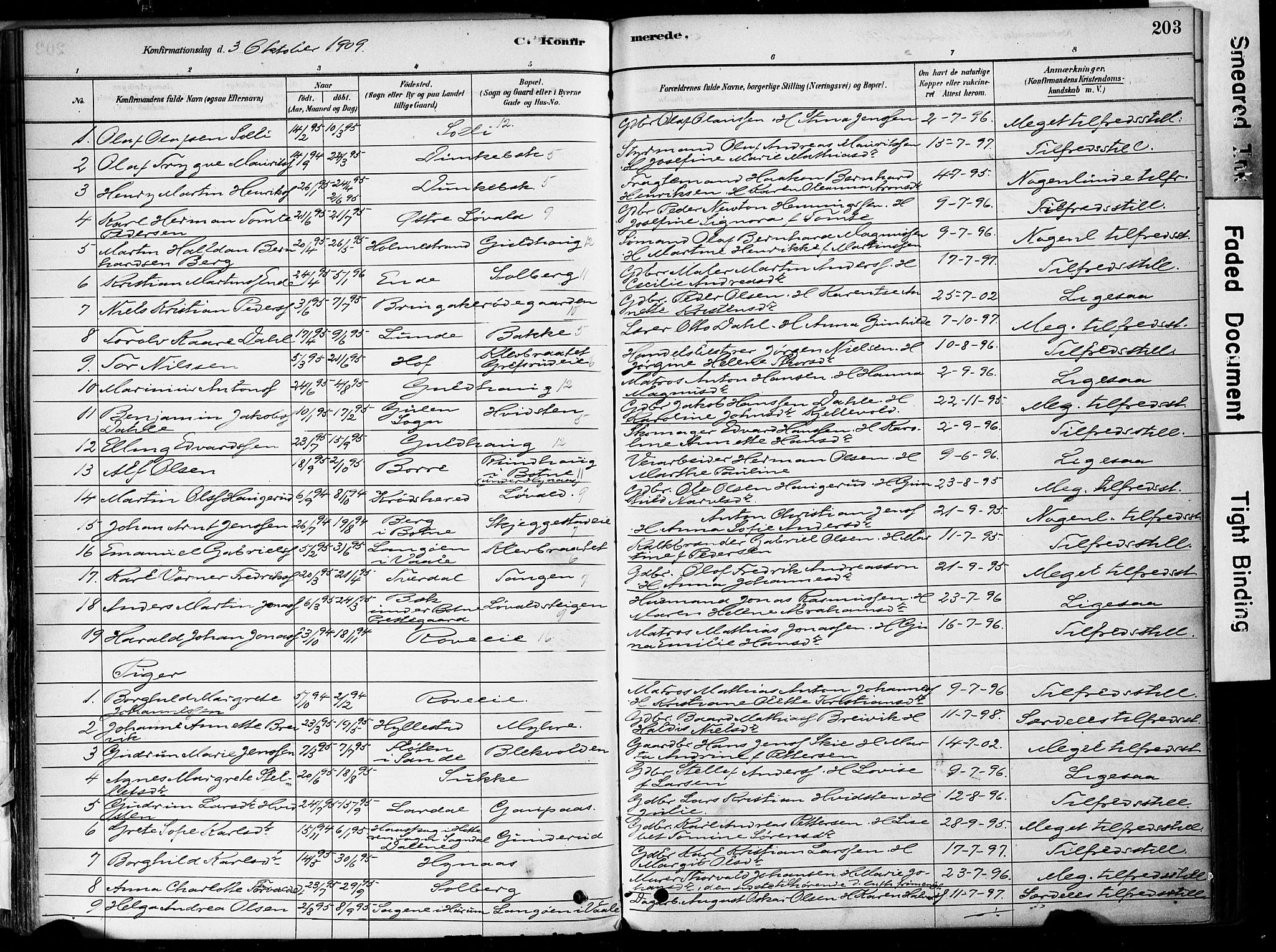 Botne kirkebøker, AV/SAKO-A-340/F/Fa/L0007: Parish register (official) no. I 7, 1878-1910, p. 203