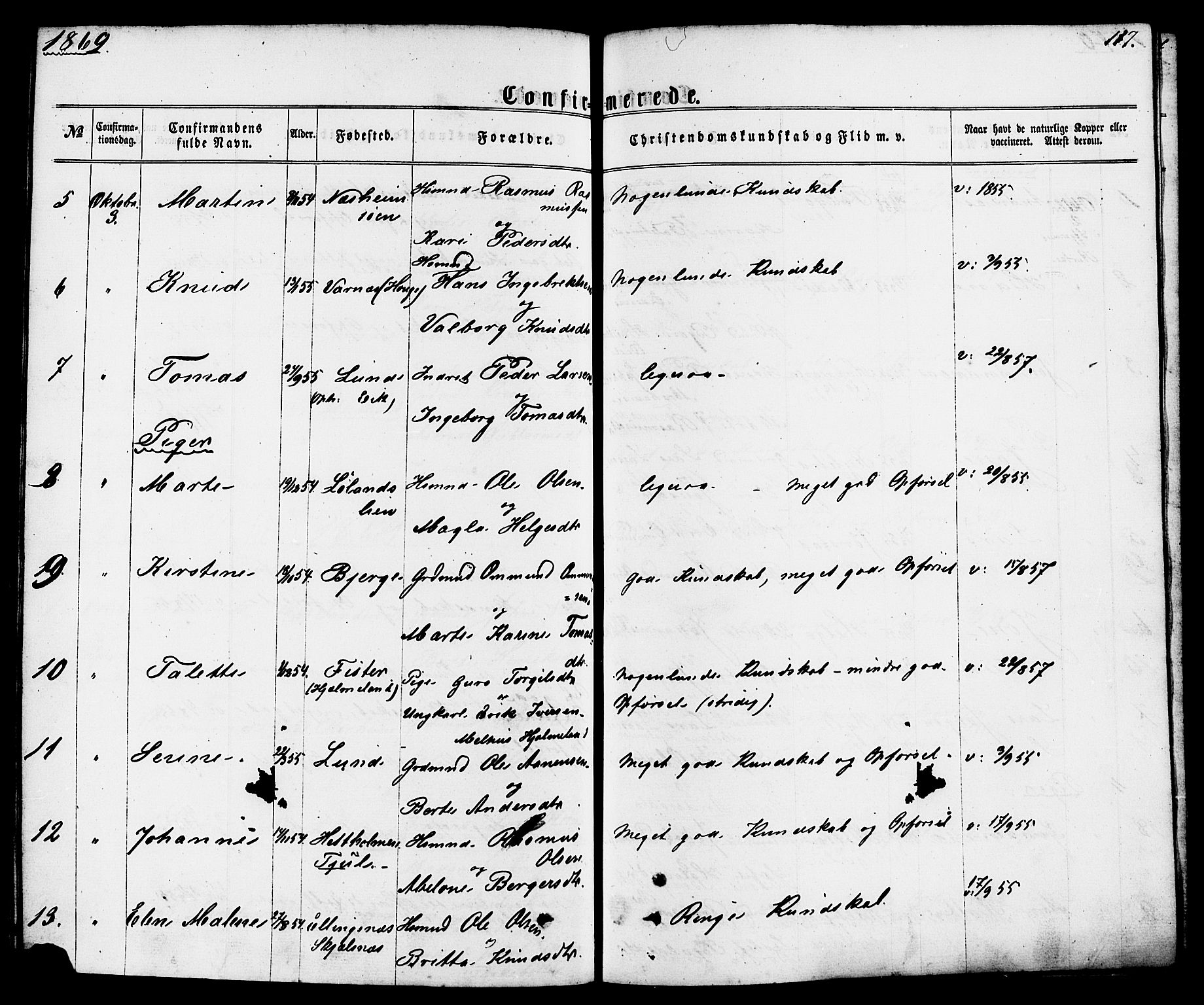 Nedstrand sokneprestkontor, AV/SAST-A-101841/01/IV: Parish register (official) no. A 10, 1861-1887, p. 117