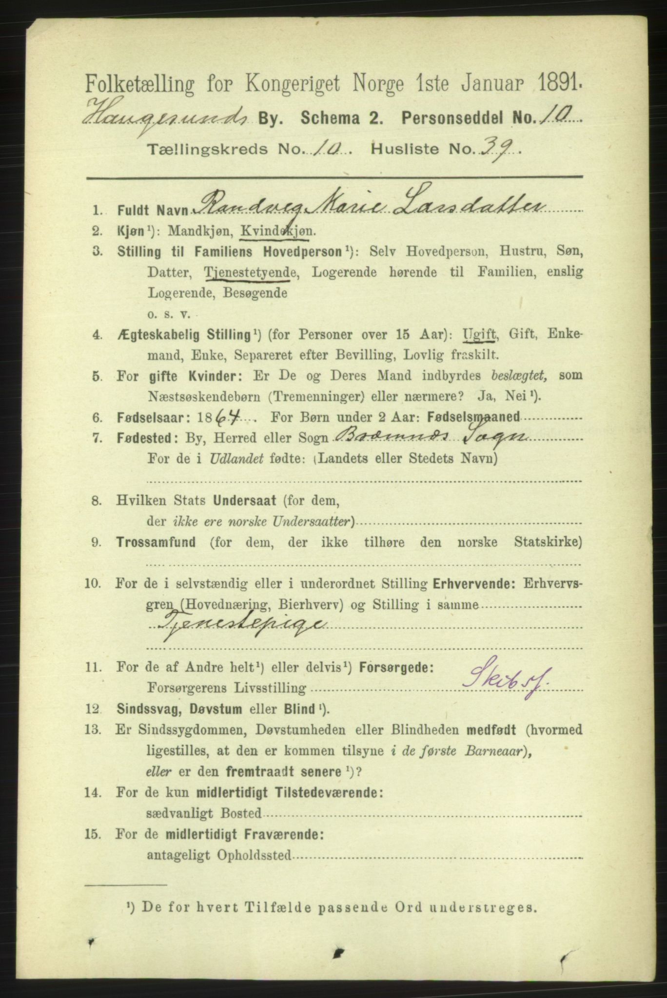 RA, 1891 census for 1106 Haugesund, 1891, p. 3941