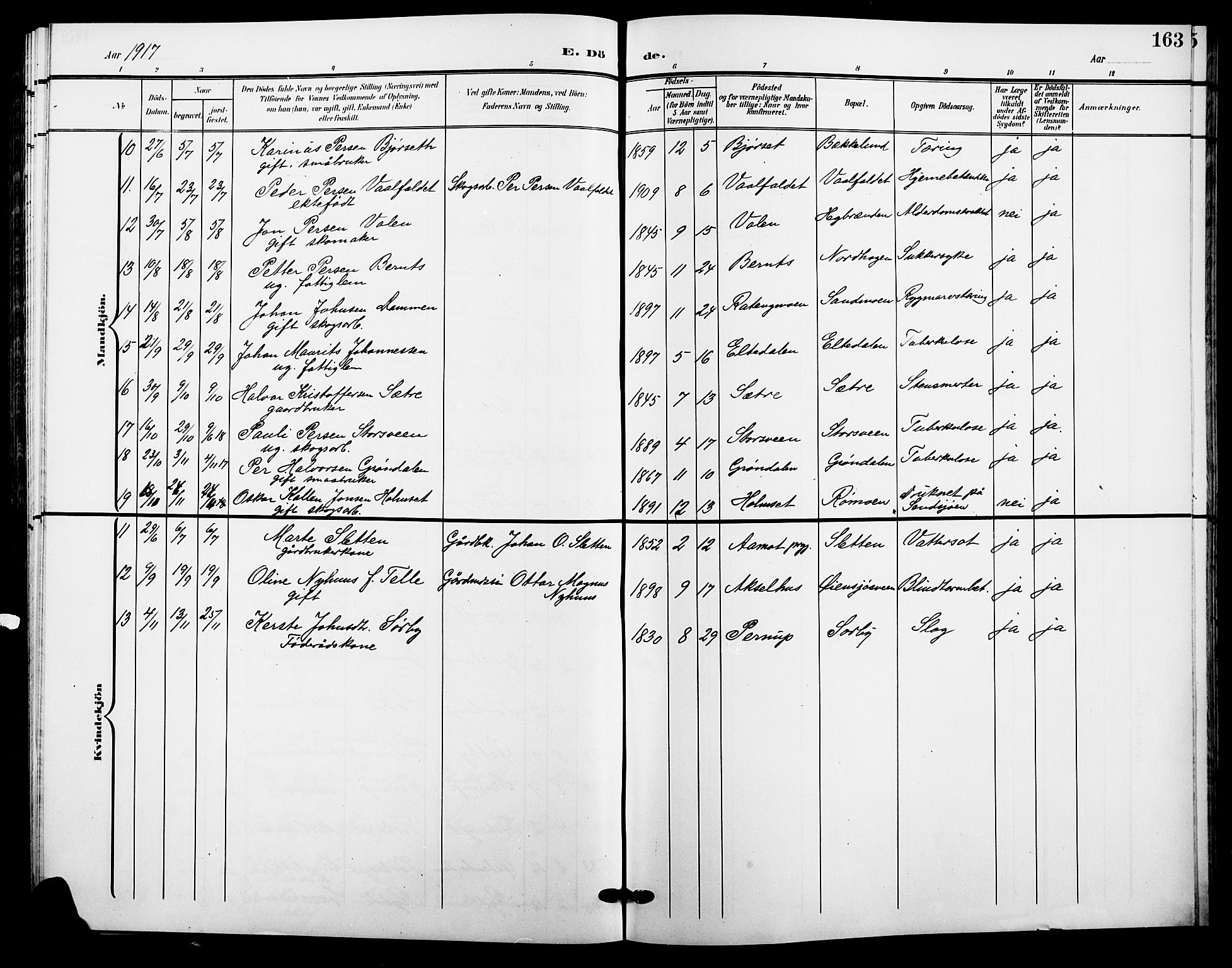 Trysil prestekontor, AV/SAH-PREST-046/H/Ha/Hab/L0009: Parish register (copy) no. 9, 1904-1924, p. 163