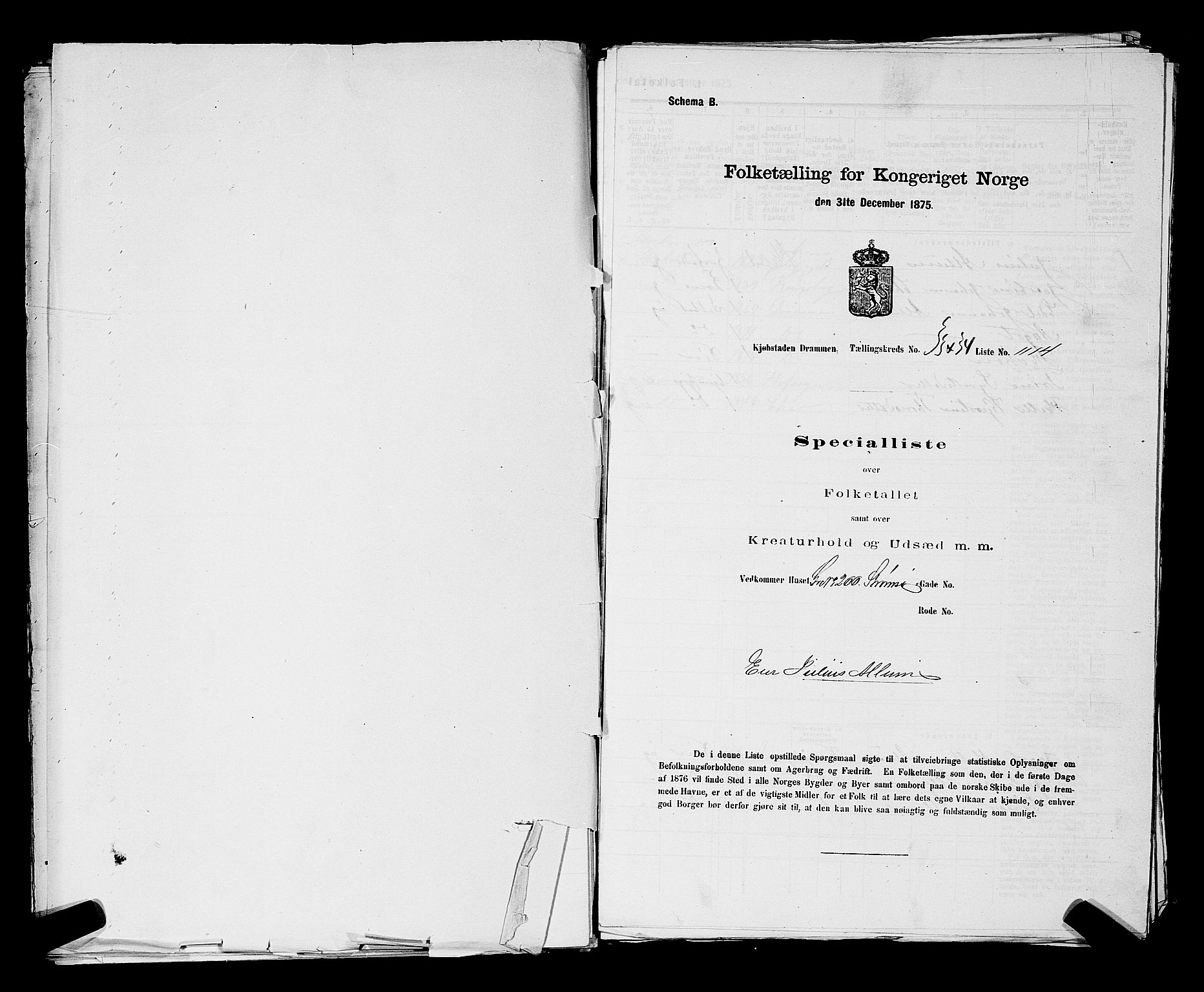 SAKO, 1875 census for 0602 Drammen, 1875, p. 2955