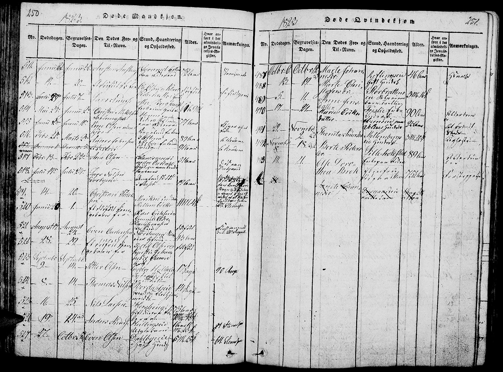 Ringsaker prestekontor, AV/SAH-PREST-014/L/La/L0001: Parish register (copy) no. 1, 1814-1826, p. 250-251