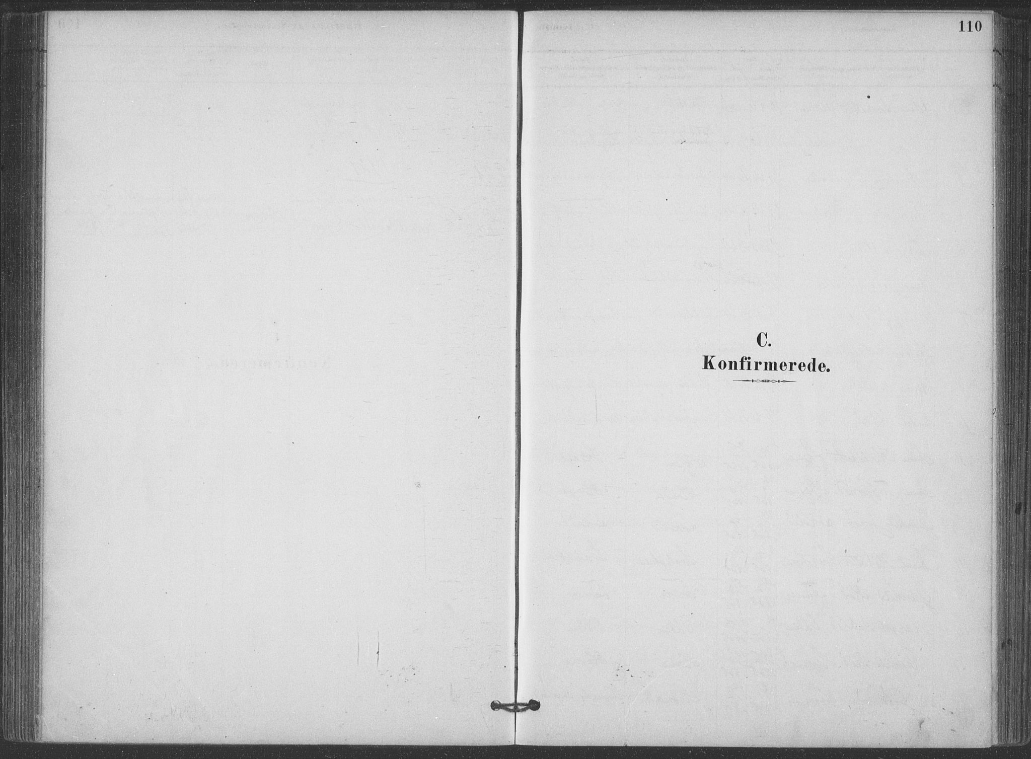 Hjartdal kirkebøker, SAKO/A-270/F/Fa/L0010: Parish register (official) no. I 10, 1880-1929, p. 110