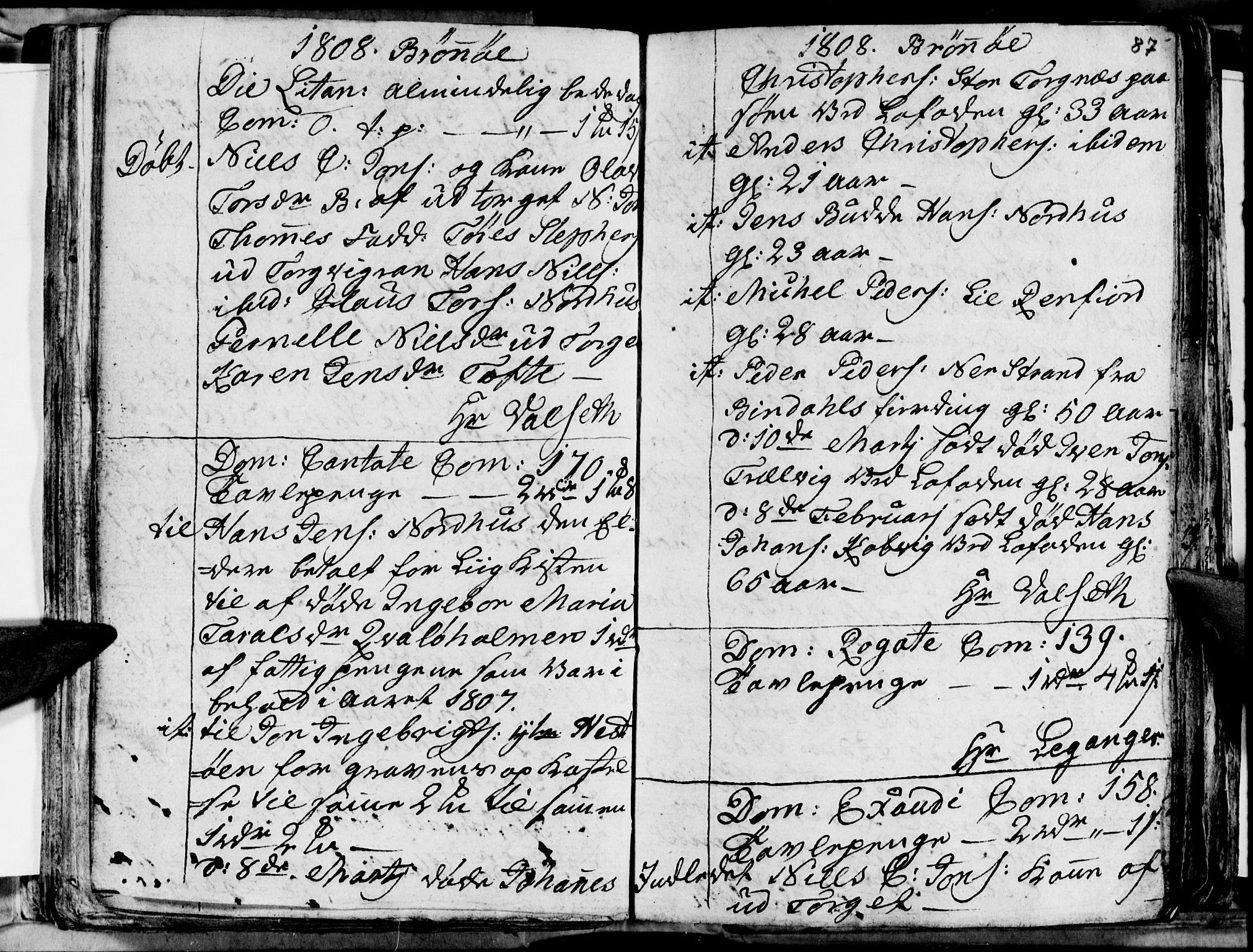 Ministerialprotokoller, klokkerbøker og fødselsregistre - Nordland, AV/SAT-A-1459/813/L0209: Parish register (copy) no. 813C01, 1803-1821, p. 87