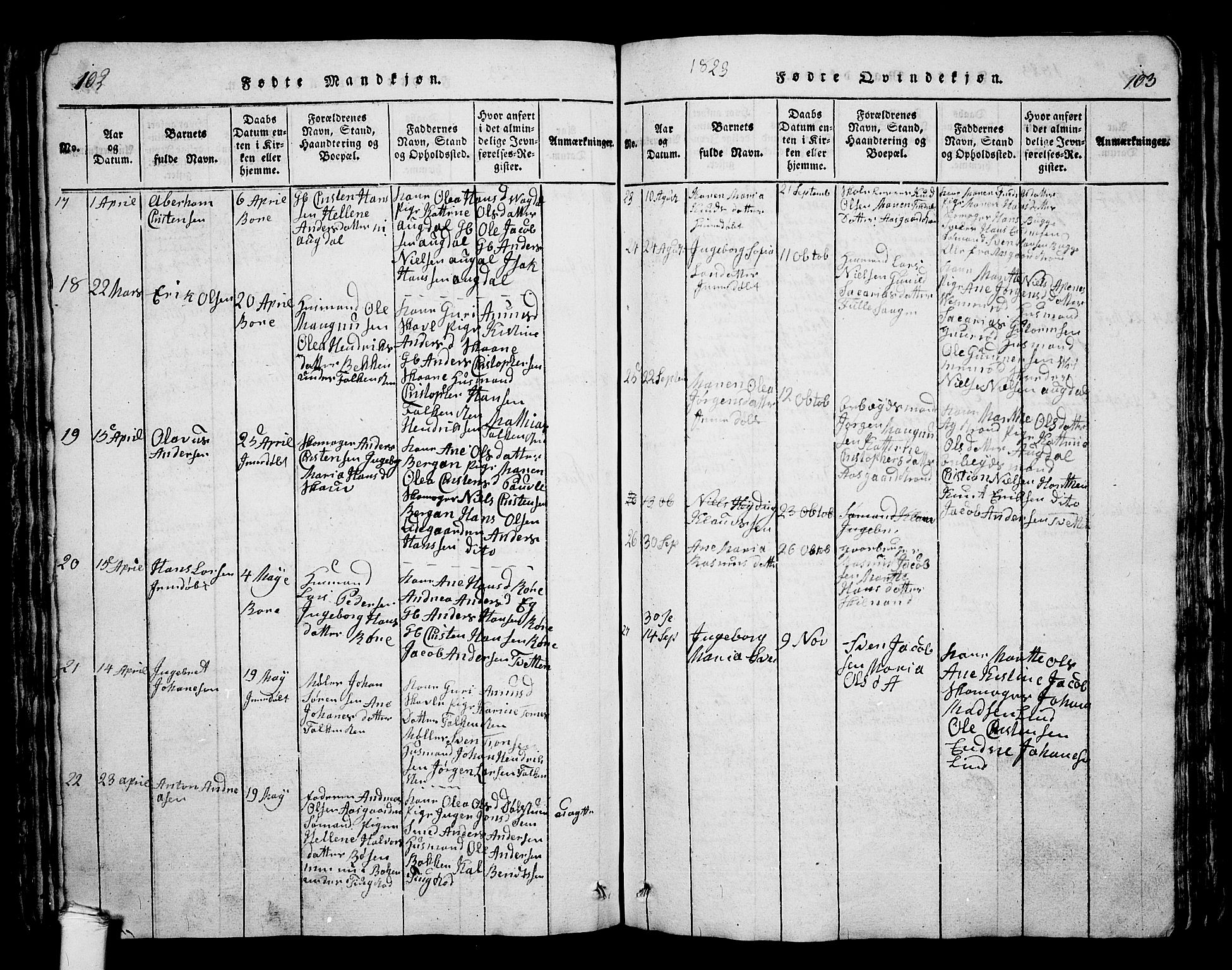 Borre kirkebøker, SAKO/A-338/G/Ga/L0001: Parish register (copy) no. I 1, 1815-1851, p. 102-103