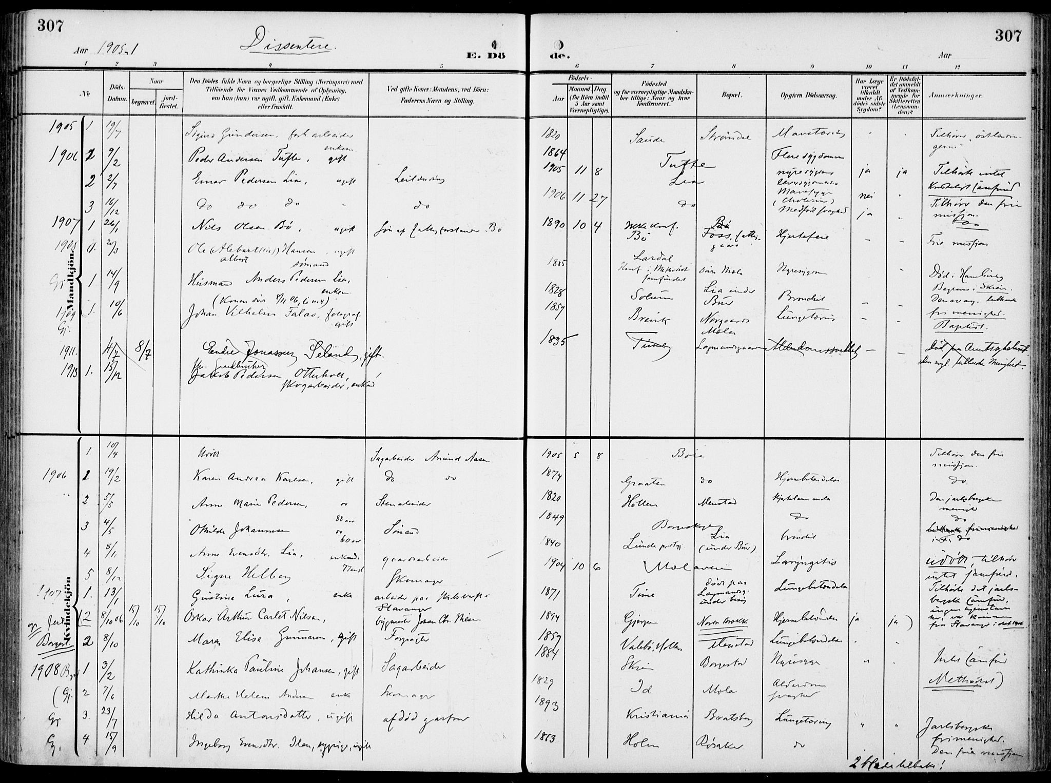 Gjerpen kirkebøker, SAKO/A-265/F/Fa/L0012: Parish register (official) no. I 12, 1905-1913, p. 307