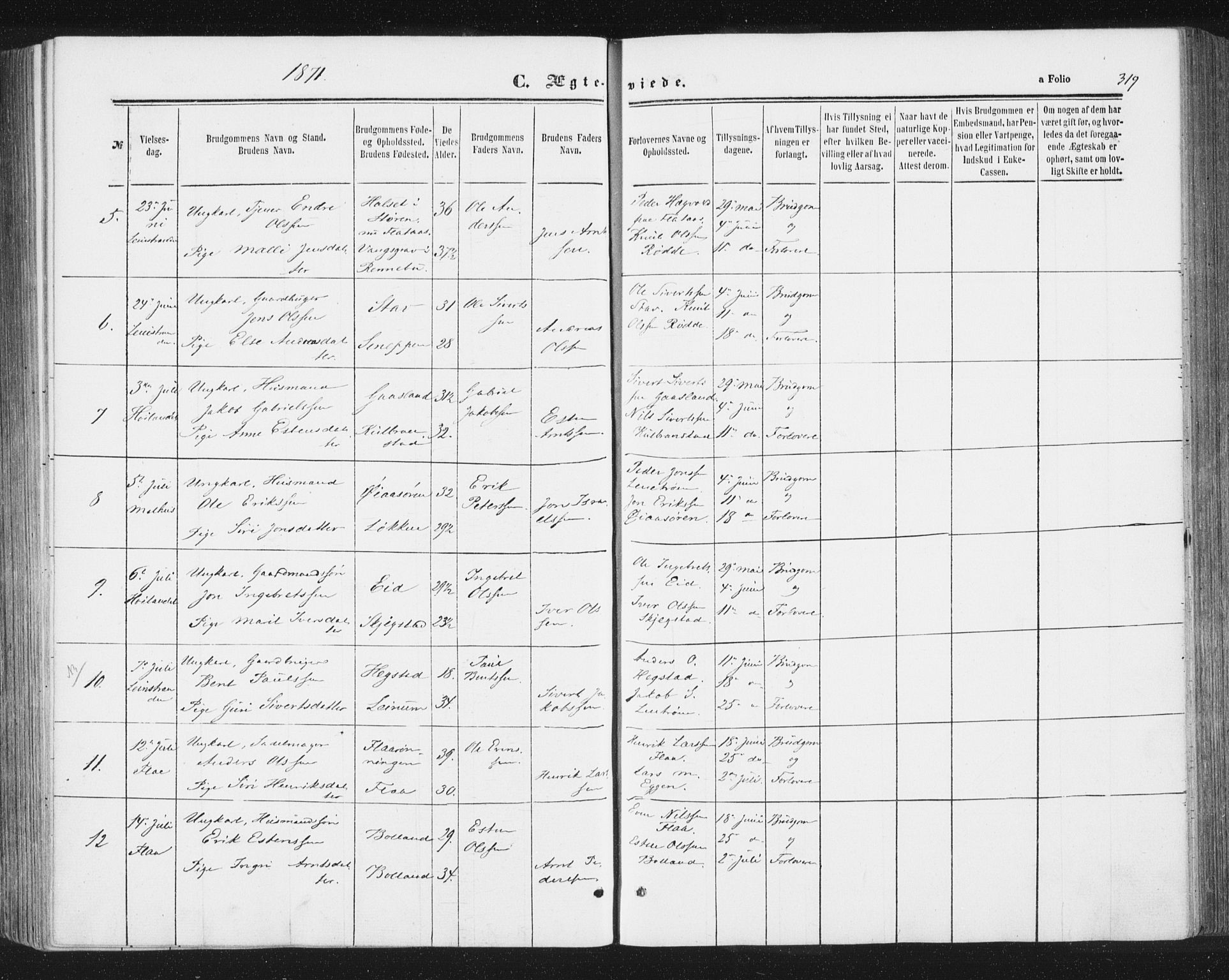 Ministerialprotokoller, klokkerbøker og fødselsregistre - Sør-Trøndelag, AV/SAT-A-1456/691/L1077: Parish register (official) no. 691A09, 1862-1873, p. 319