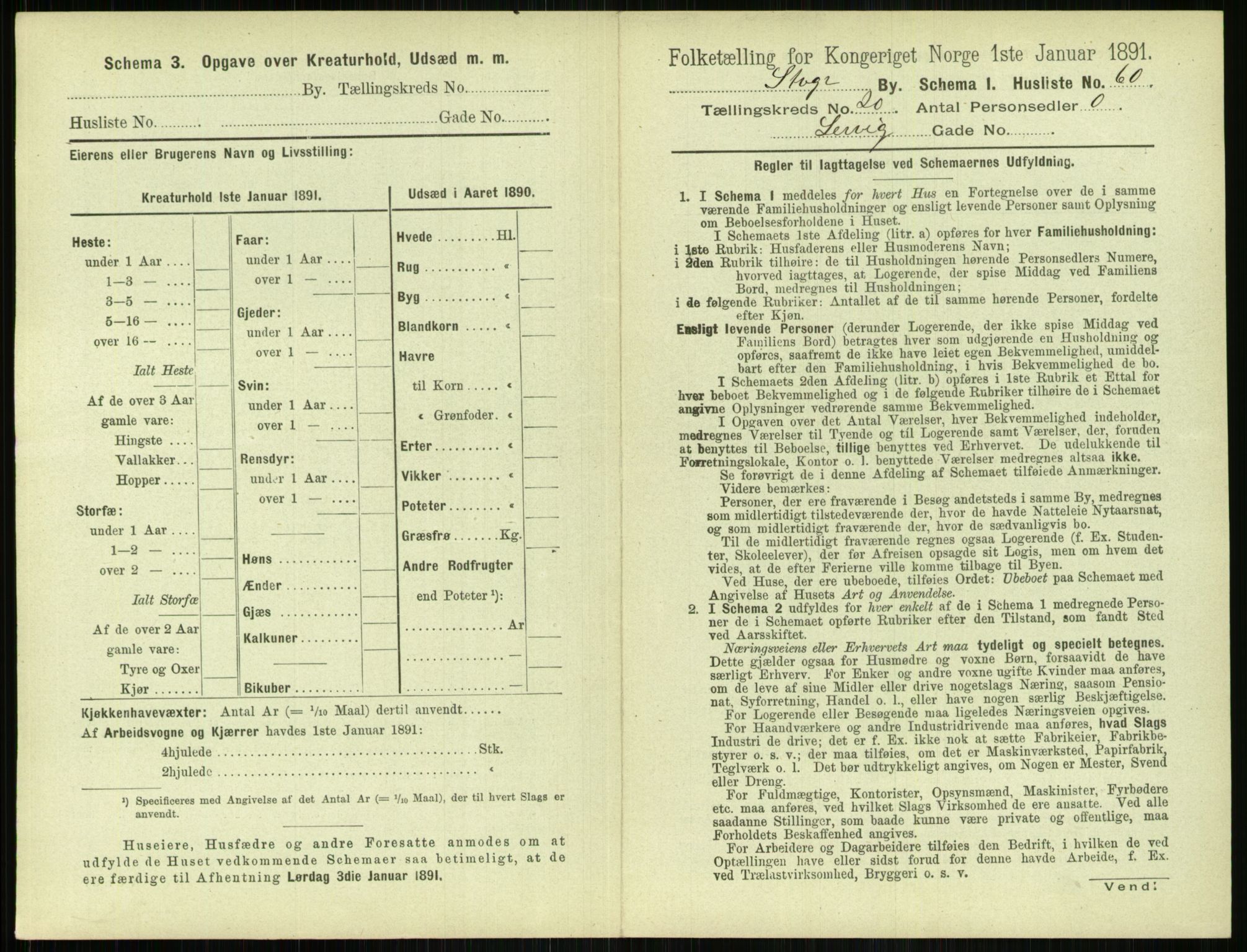 RA, 1891 census for 1103 Stavanger, 1891, p. 3909