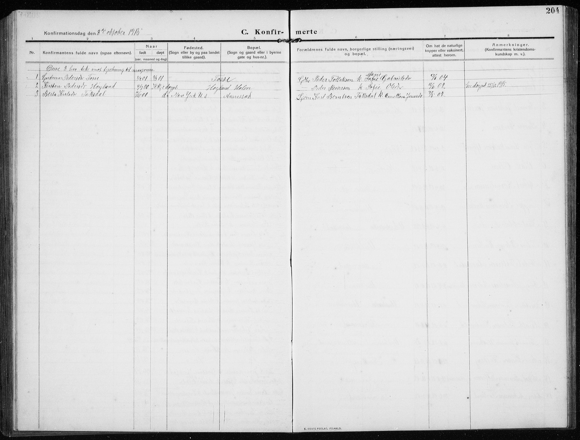 Time sokneprestkontor, AV/SAST-A-101795/001/30BB/L0001: Parish register (copy) no. B 1, 1910-1932, p. 204