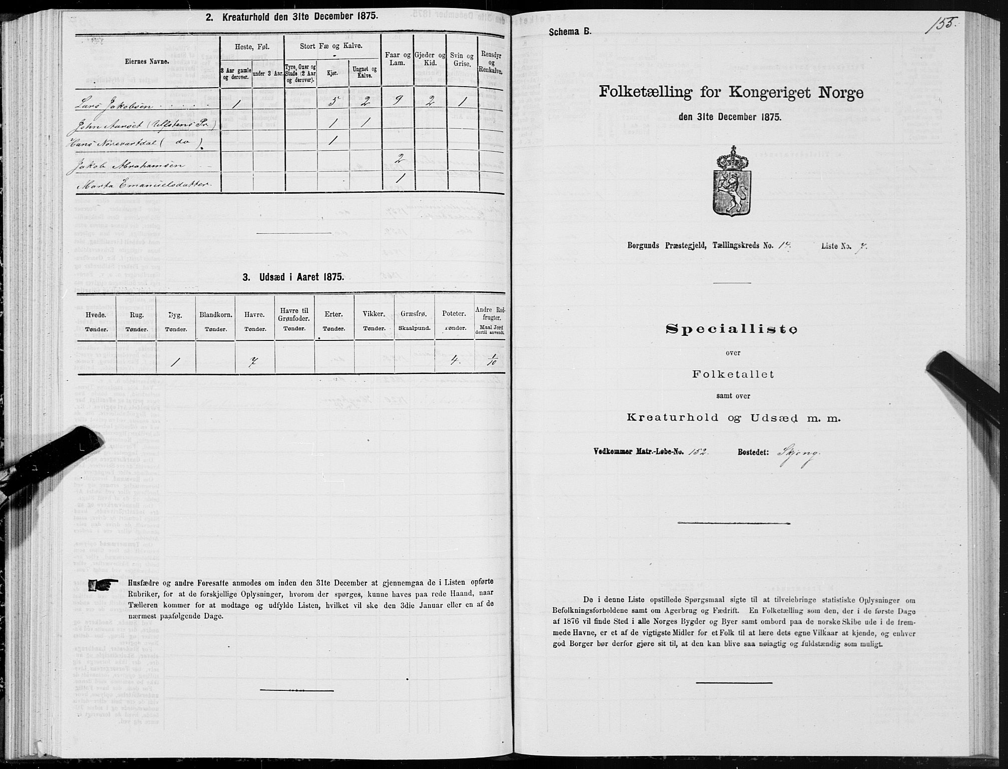 SAT, 1875 census for 1531P Borgund, 1875, p. 7155