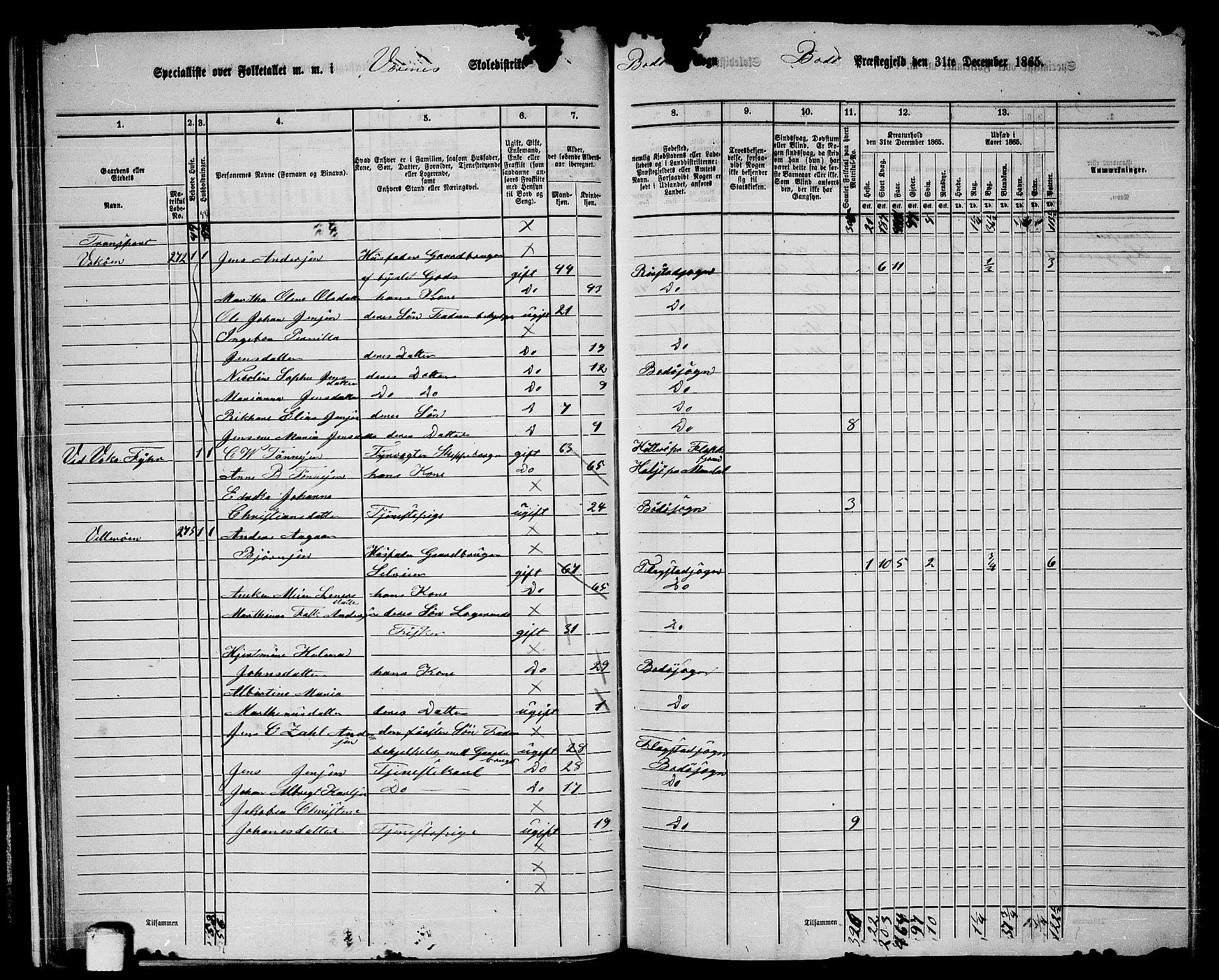 RA, 1865 census for Bodø/Bodø, 1865, p. 29