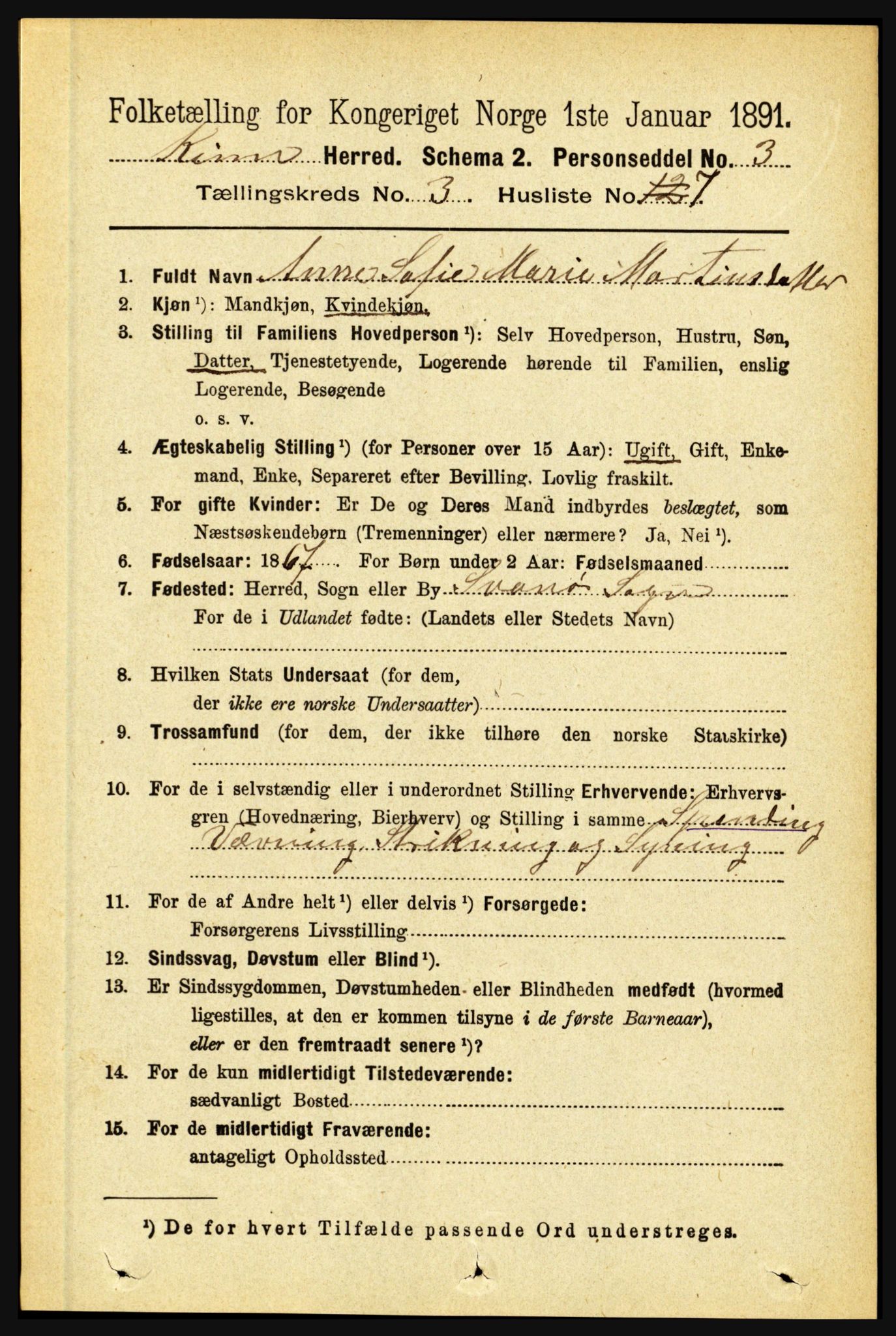RA, 1891 census for 1437 Kinn, 1891, p. 987