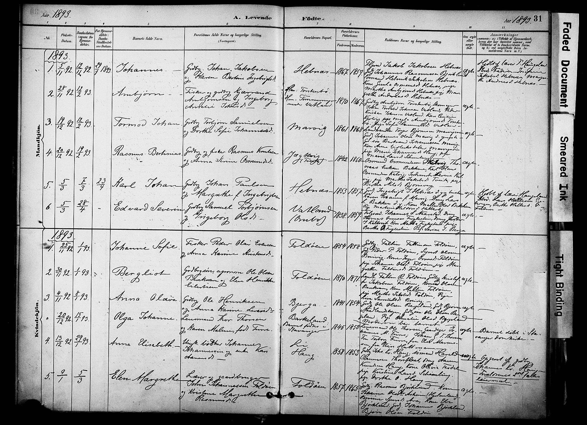 Jelsa sokneprestkontor, SAST/A-101842/01/IV: Parish register (official) no. A 10, 1884-1906, p. 31