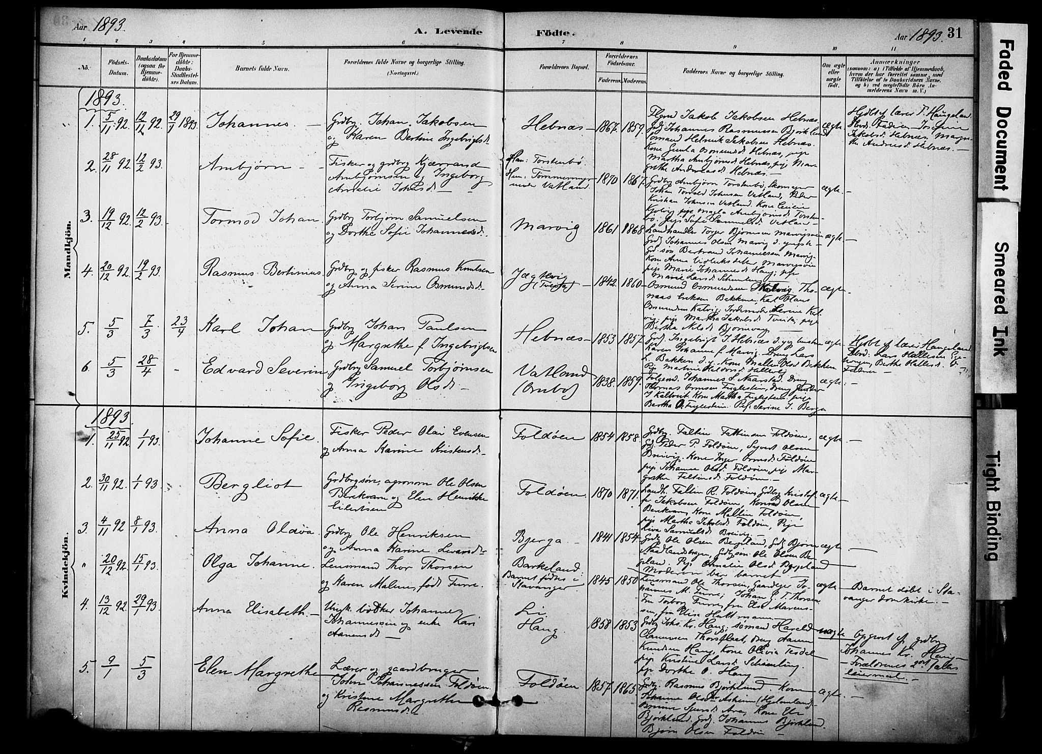 Jelsa sokneprestkontor, AV/SAST-A-101842/01/IV: Parish register (official) no. A 10, 1884-1906, p. 31