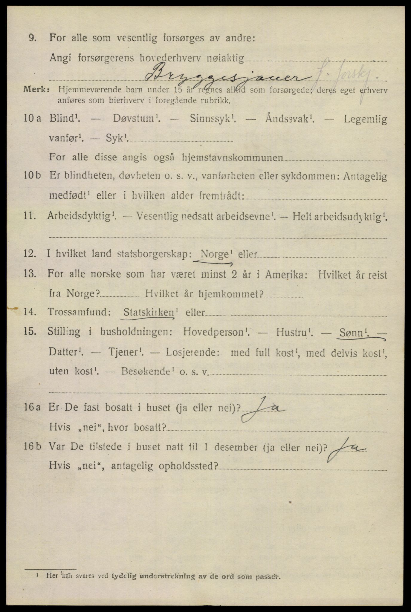 SAKO, 1920 census for Skien, 1920, p. 36463