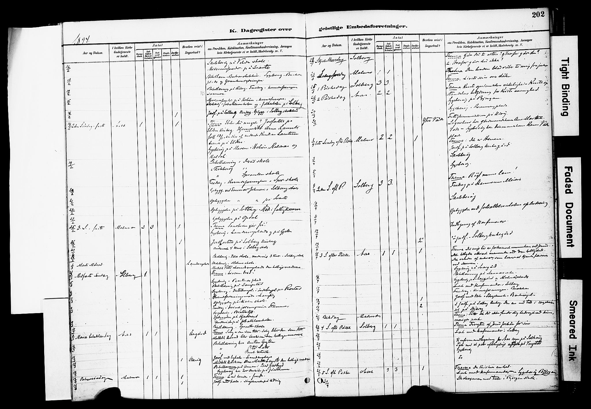 Ministerialprotokoller, klokkerbøker og fødselsregistre - Nord-Trøndelag, SAT/A-1458/741/L0396: Parish register (official) no. 741A10, 1889-1901, p. 202