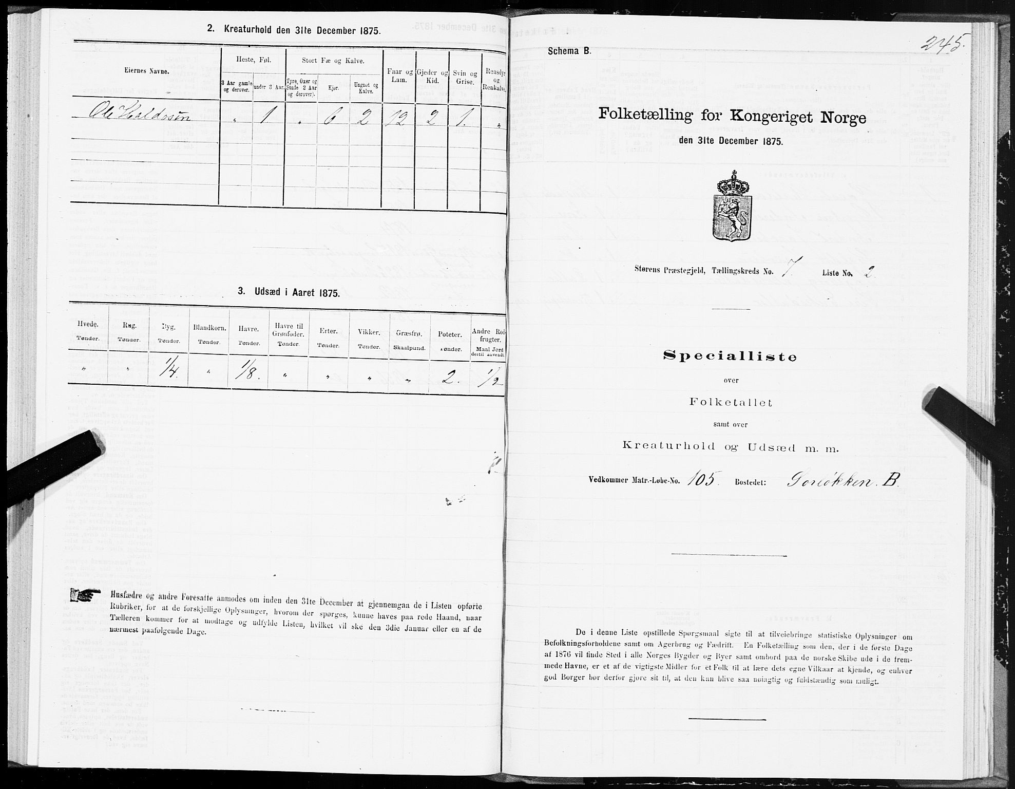 SAT, 1875 census for 1648P Støren, 1875, p. 3245