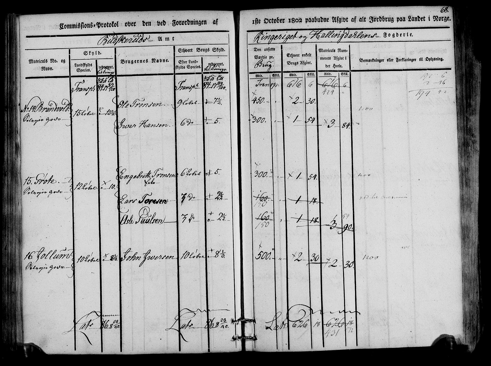 Rentekammeret inntil 1814, Realistisk ordnet avdeling, AV/RA-EA-4070/N/Ne/Nea/L0047: Ringerike og Hallingdal fogderi. Kommisjonsprotokoll for Nes prestegjeld, 1803, p. 70