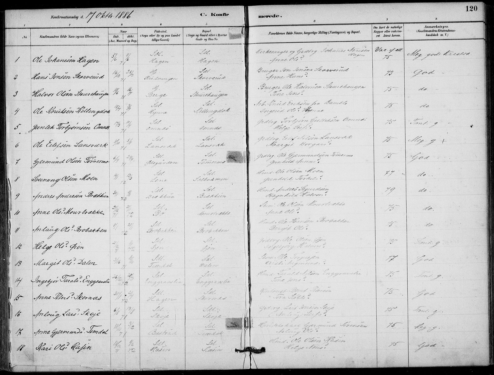 Hjartdal kirkebøker, SAKO/A-270/F/Fb/L0002: Parish register (official) no. II 2, 1880-1932, p. 120