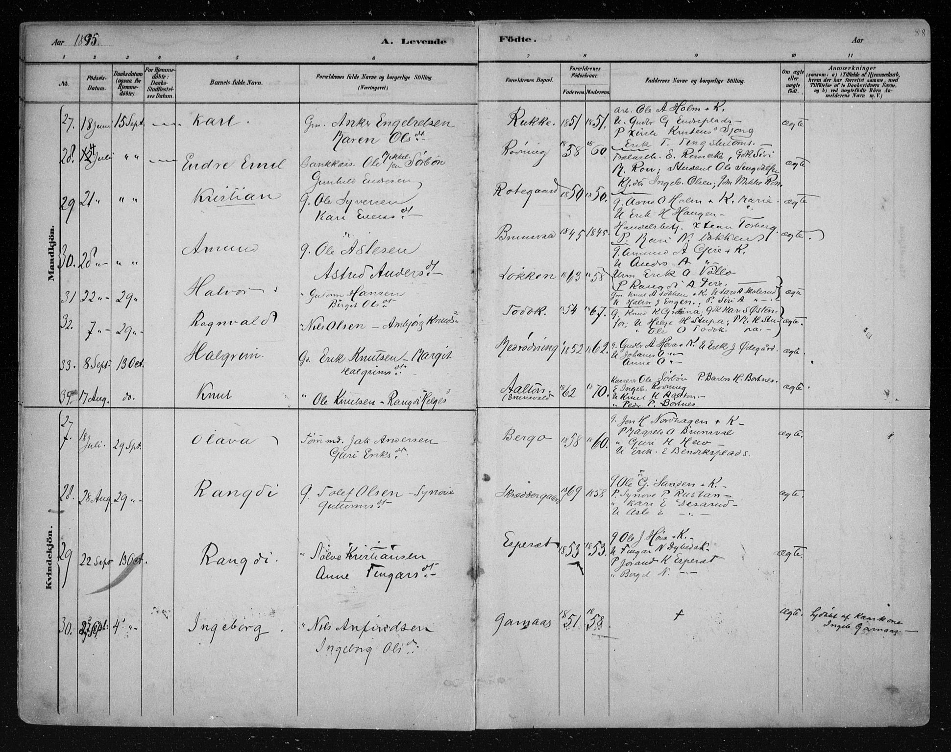 Nes kirkebøker, SAKO/A-236/F/Fa/L0011: Parish register (official) no. 11, 1881-1912, p. 88