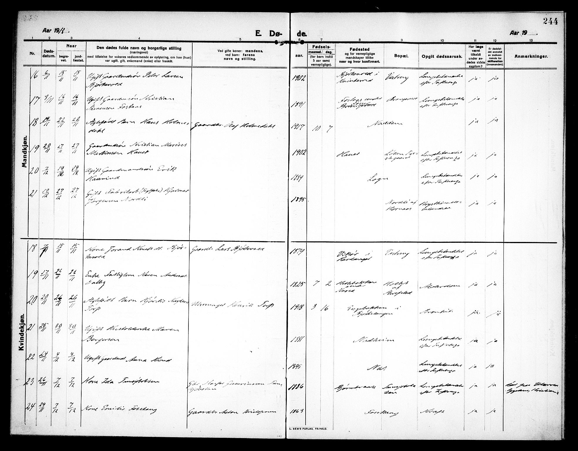 Høland prestekontor Kirkebøker, AV/SAO-A-10346a/F/Fa/L0016: Parish register (official) no. I 16, 1912-1921, p. 244