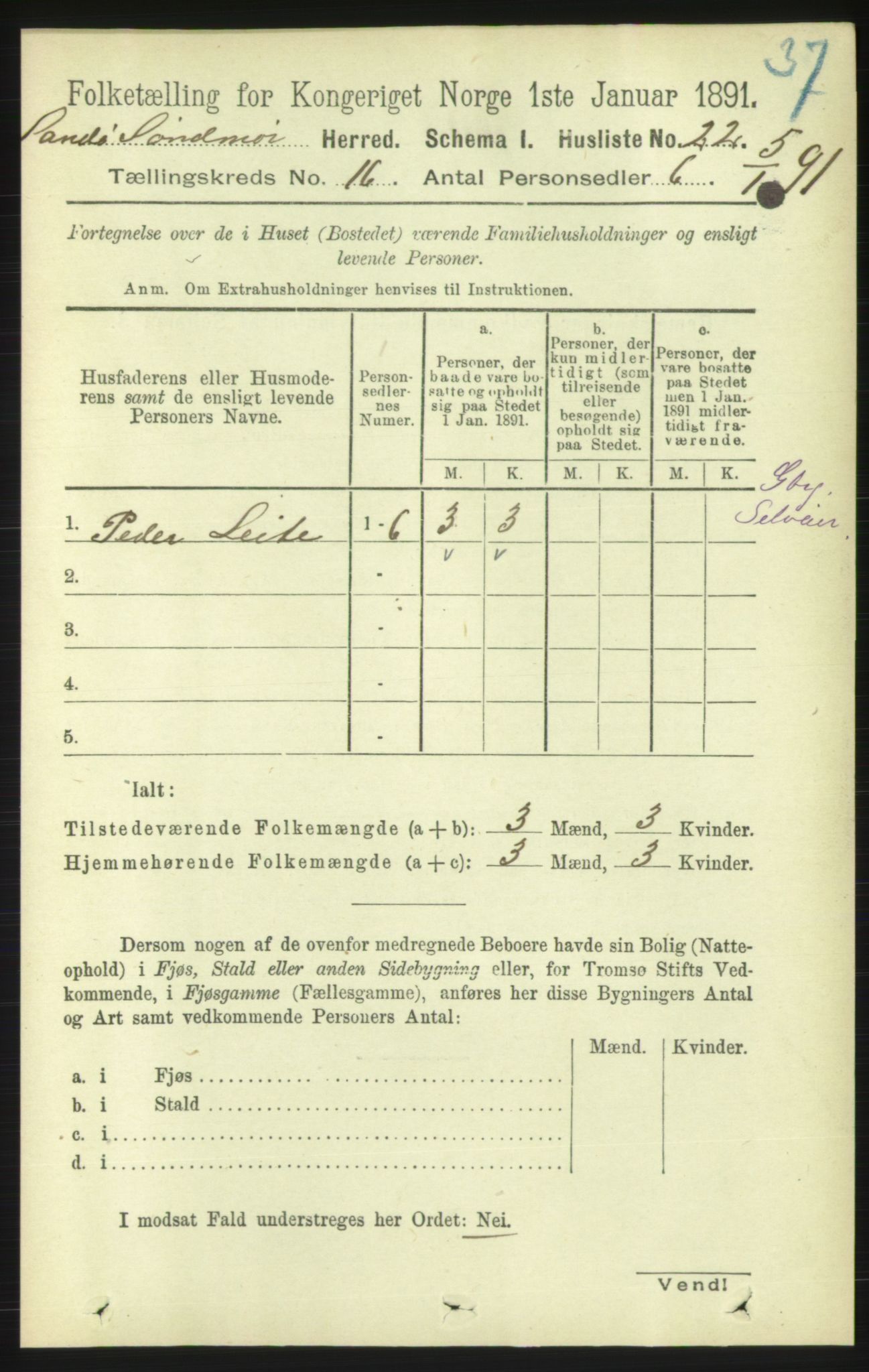 RA, 1891 census for 1514 Sande, 1891, p. 3161